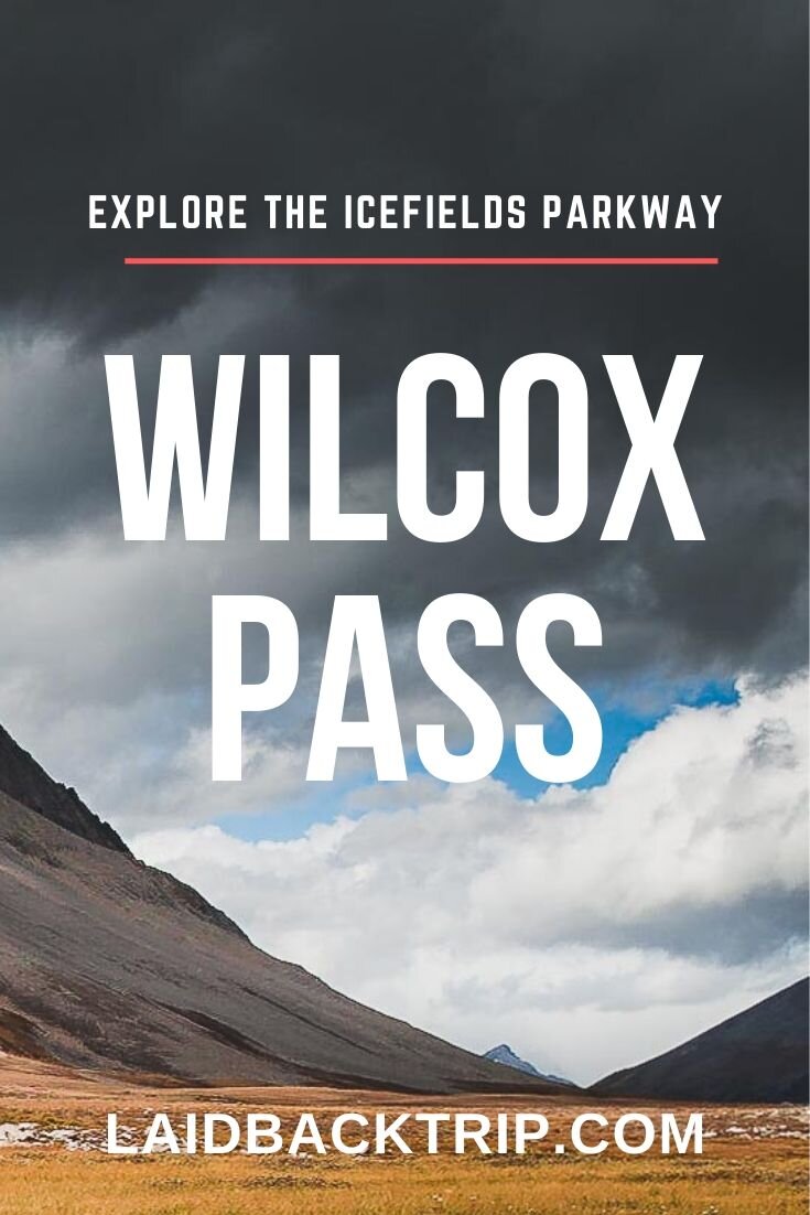 Wilcox Pass, Icefields Parkway