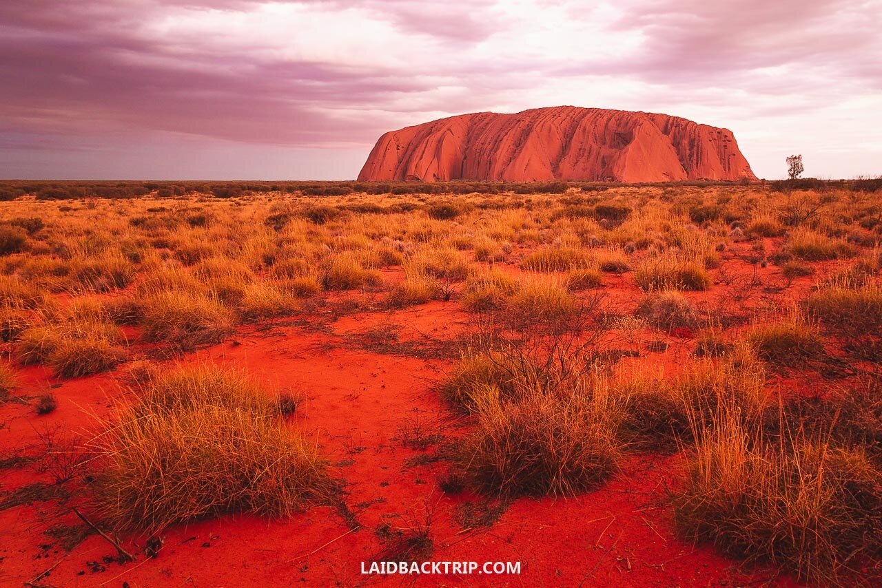 trips from melbourne to ayers rock