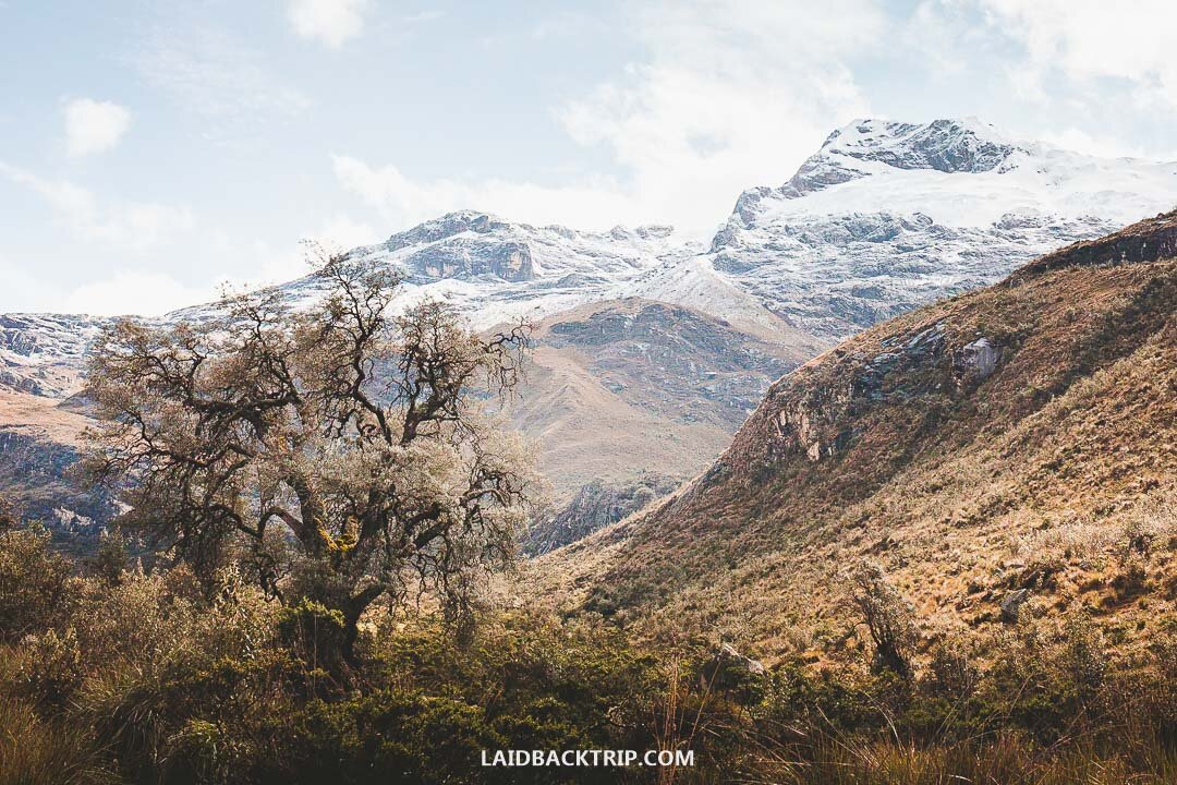 Visiting Laguna 69 is a dream for every avid hiker in Peru.