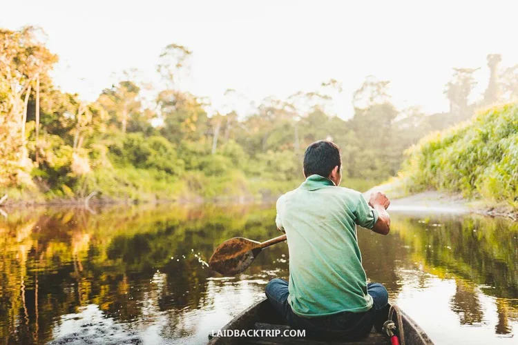 Pacaya Samiria National Reserve is in the Peruvian Amazon Rainforest near Iquitos.