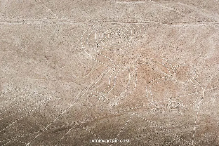 Flying over mysterious Nazca Lines is an unforgettable experience.