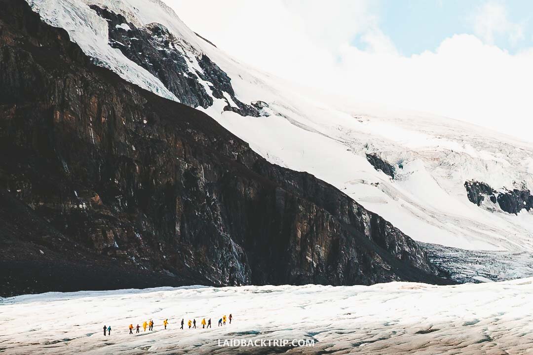 You can take a guided tour and walk on the Athabasca Glacier.