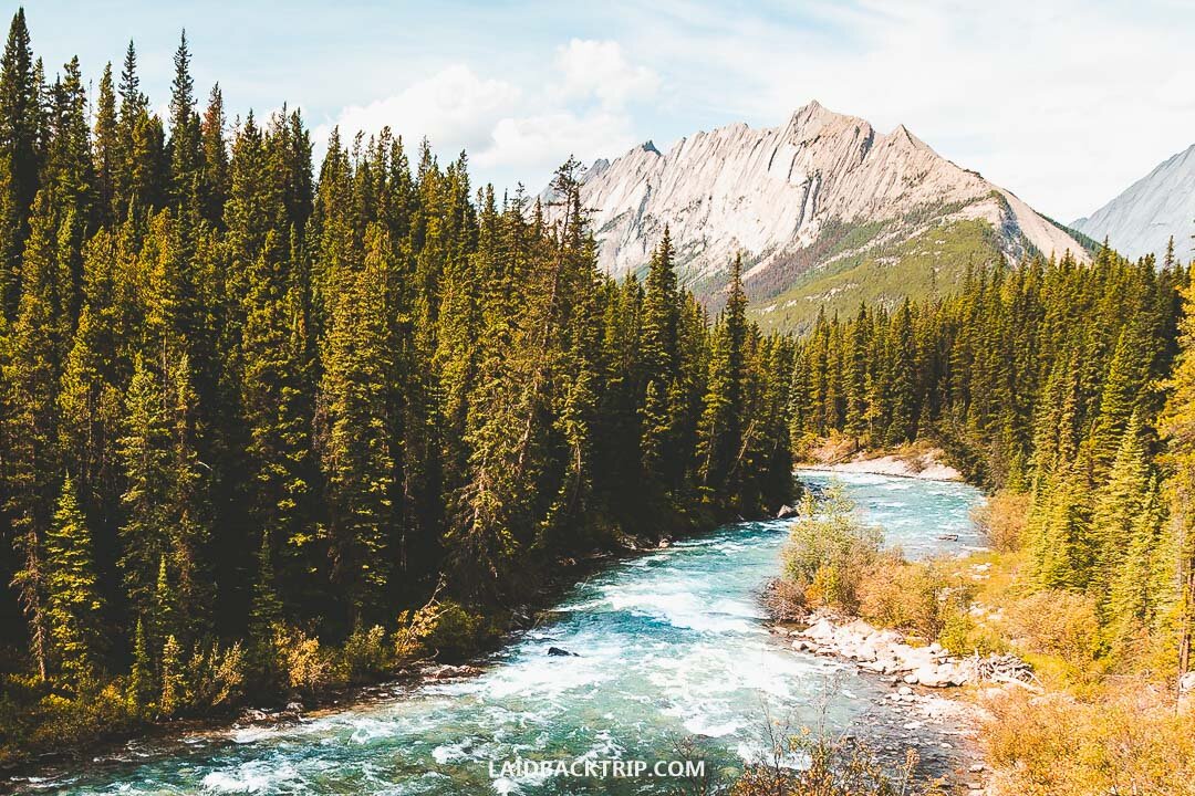 You need a car to get easily to Jasper National Park.