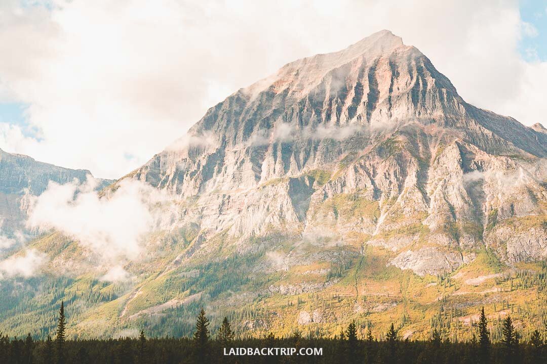 Hotels sell out quickly in Jasper during the summer season.