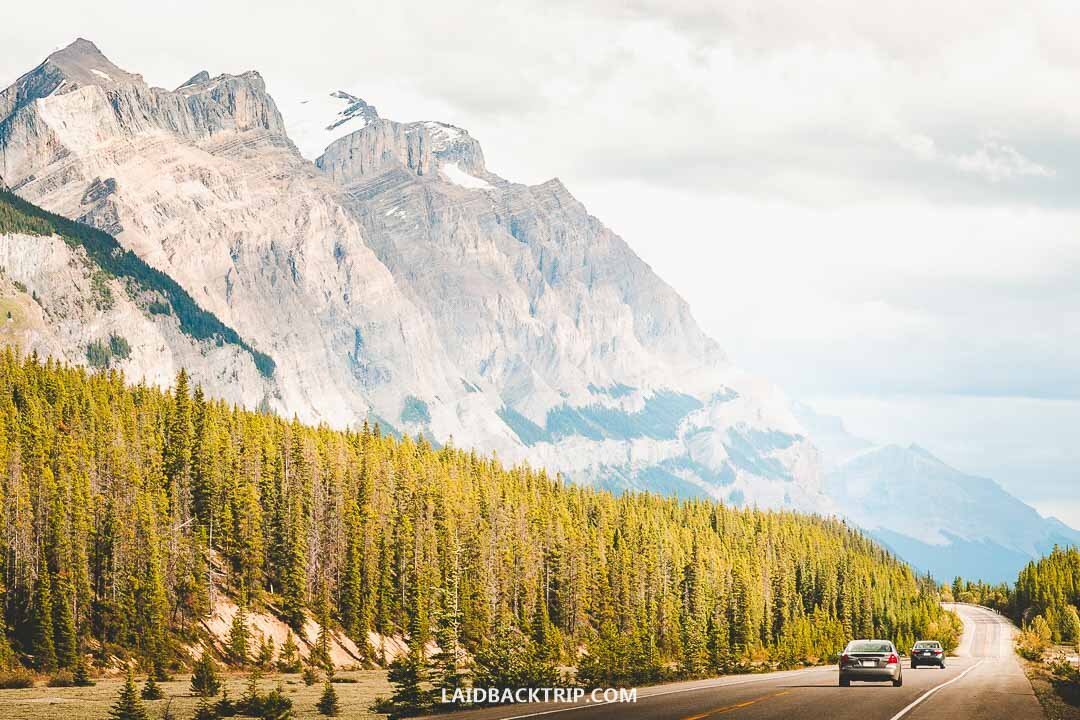 icefields parkway day trip