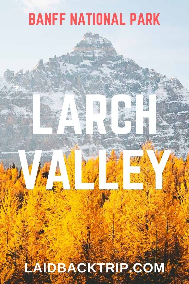 Larch Valley Hike