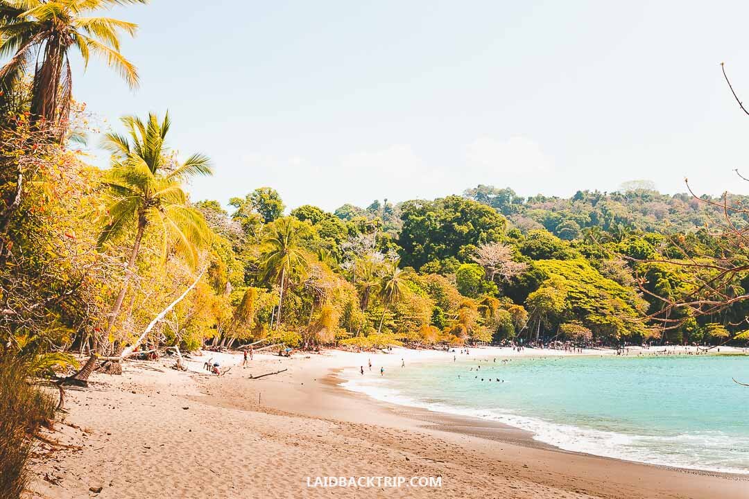 Manuel Antonio National Park is famous for its pristine beaches and abundant wildlife.
