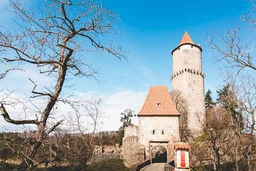 Zvikov Castle: A Local's Guide