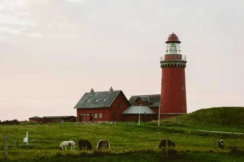 How to Visit Bovbjerg Lighthouse (and Cliffs)