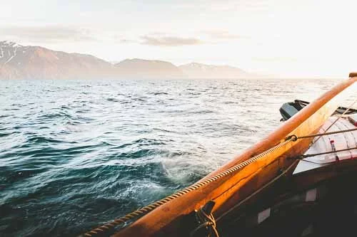 Húsavík: Our Whale Watching Tour Experience