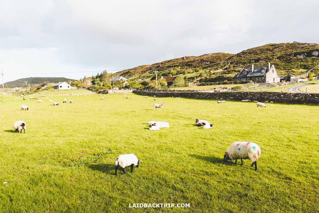 Best Things to Do in Clifden — LAIDBACK TRIP