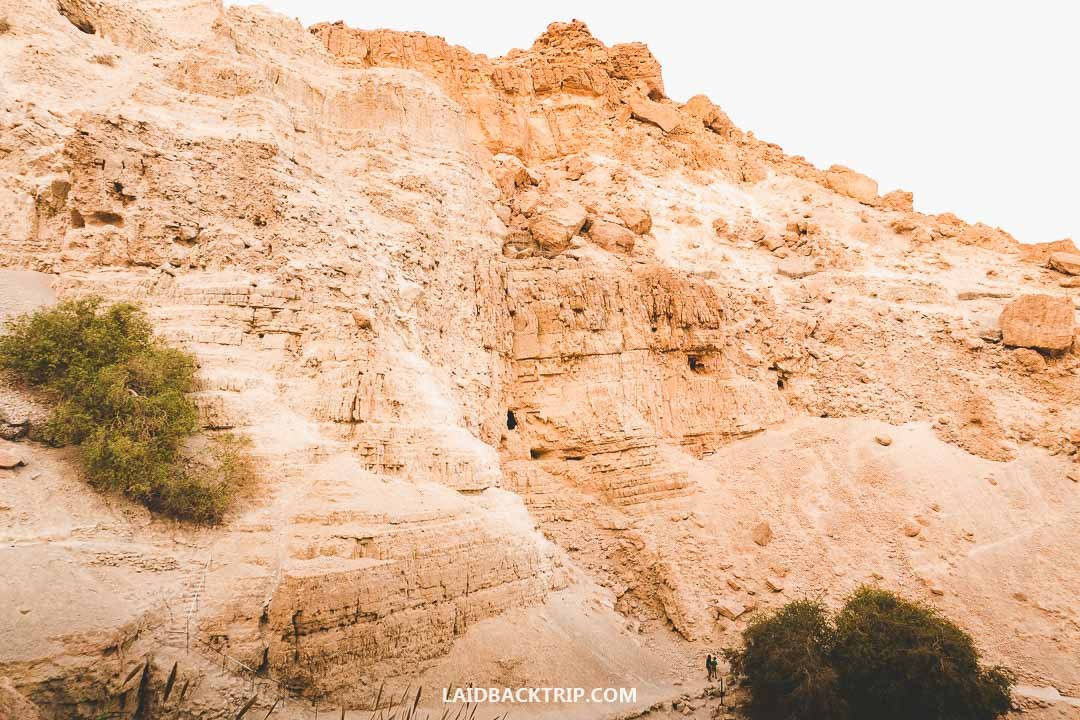 A Complete Guide To Ein Gedi Nature Reserve Israel — Laidback Trip