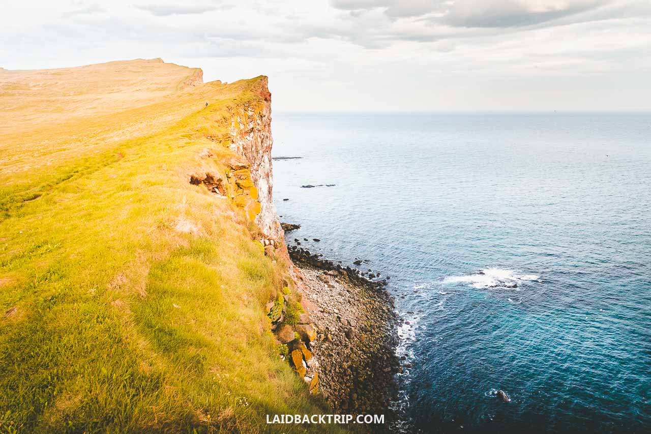 A Guide to Latrabjarg Cliffs in Westfjords — LAIDBACK TRIP