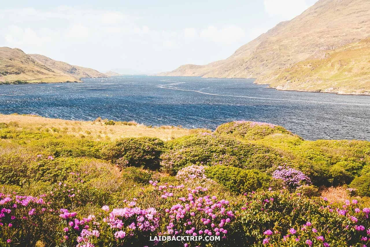 How to Visit Killary Harbour — LAIDBACK TRIP