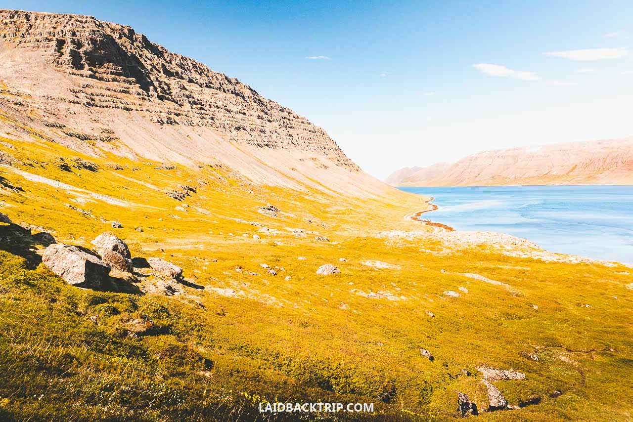 westfjords day trip