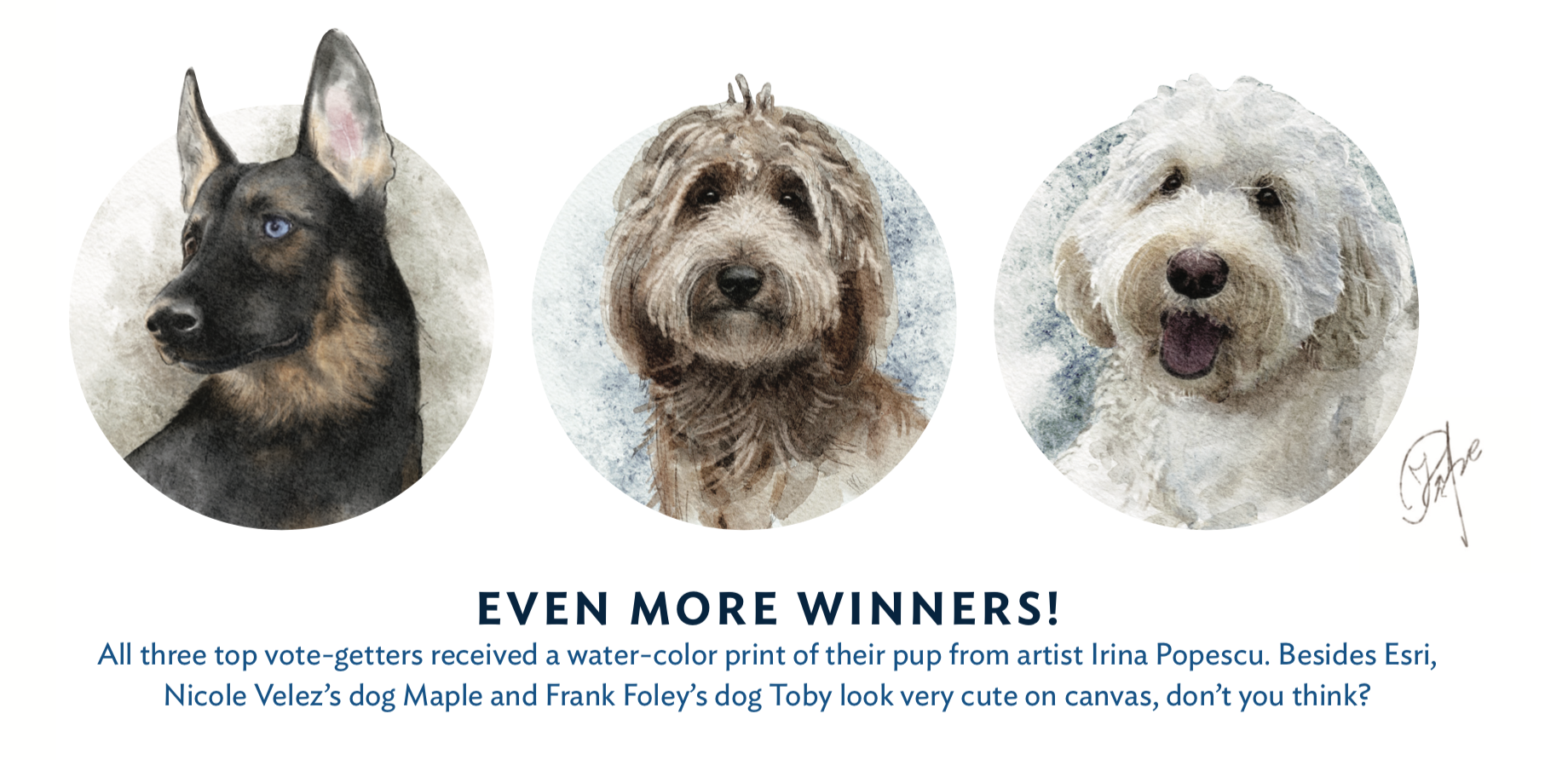 Screen Shot 2022-05-12 at 3.43.10 PM.png