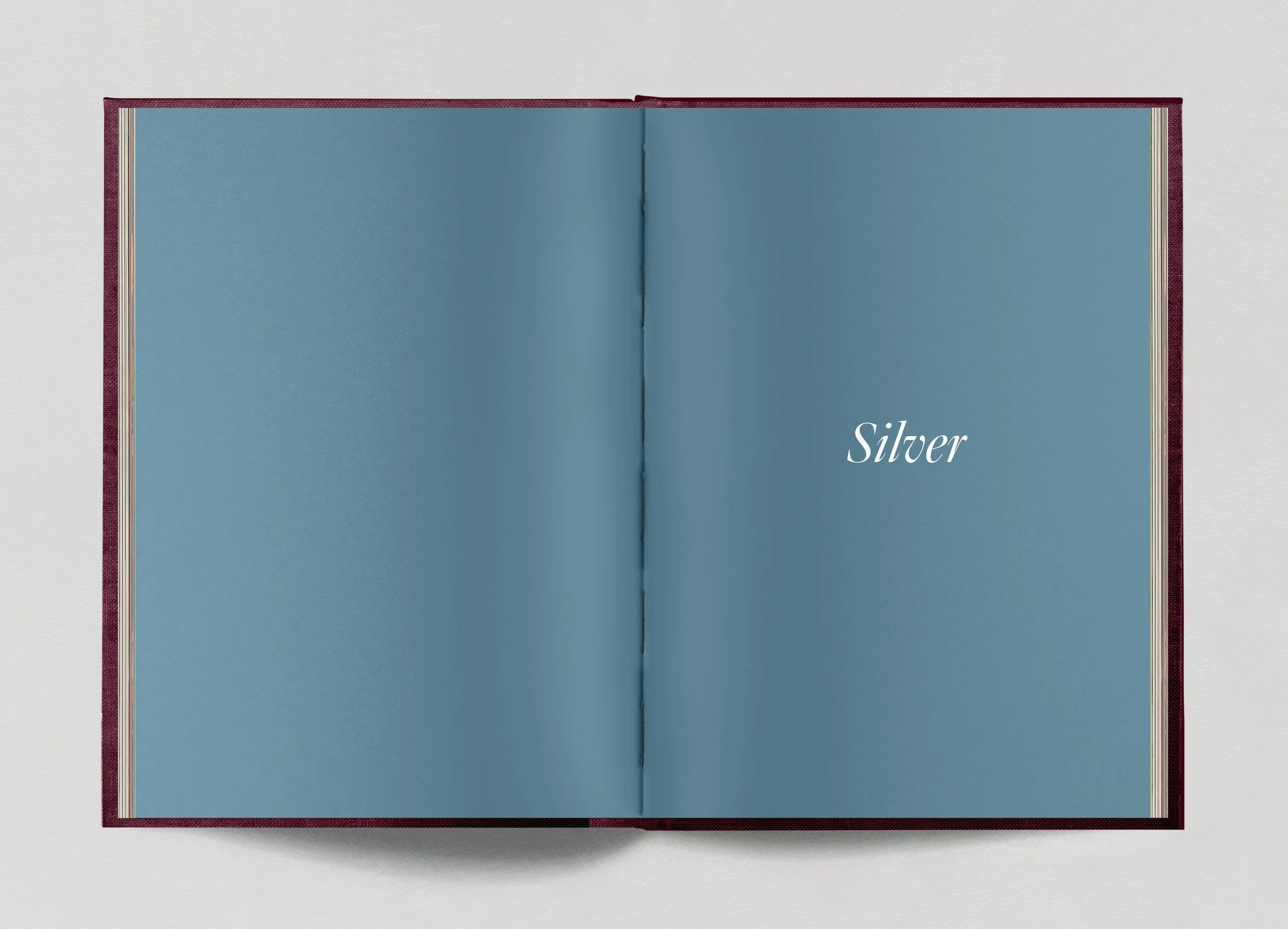 Open Pages - PortraitMG2.jpg