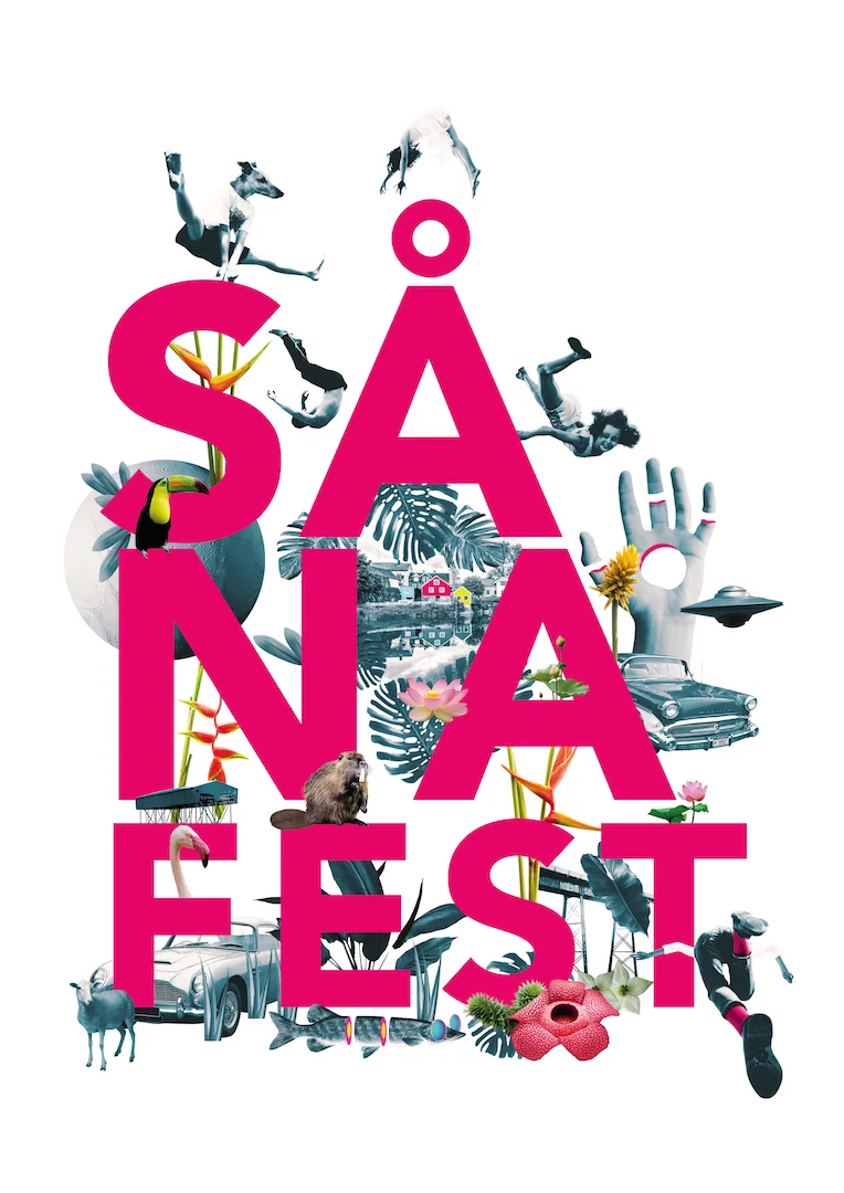Image_SANAFEST_1.WEB.jpg