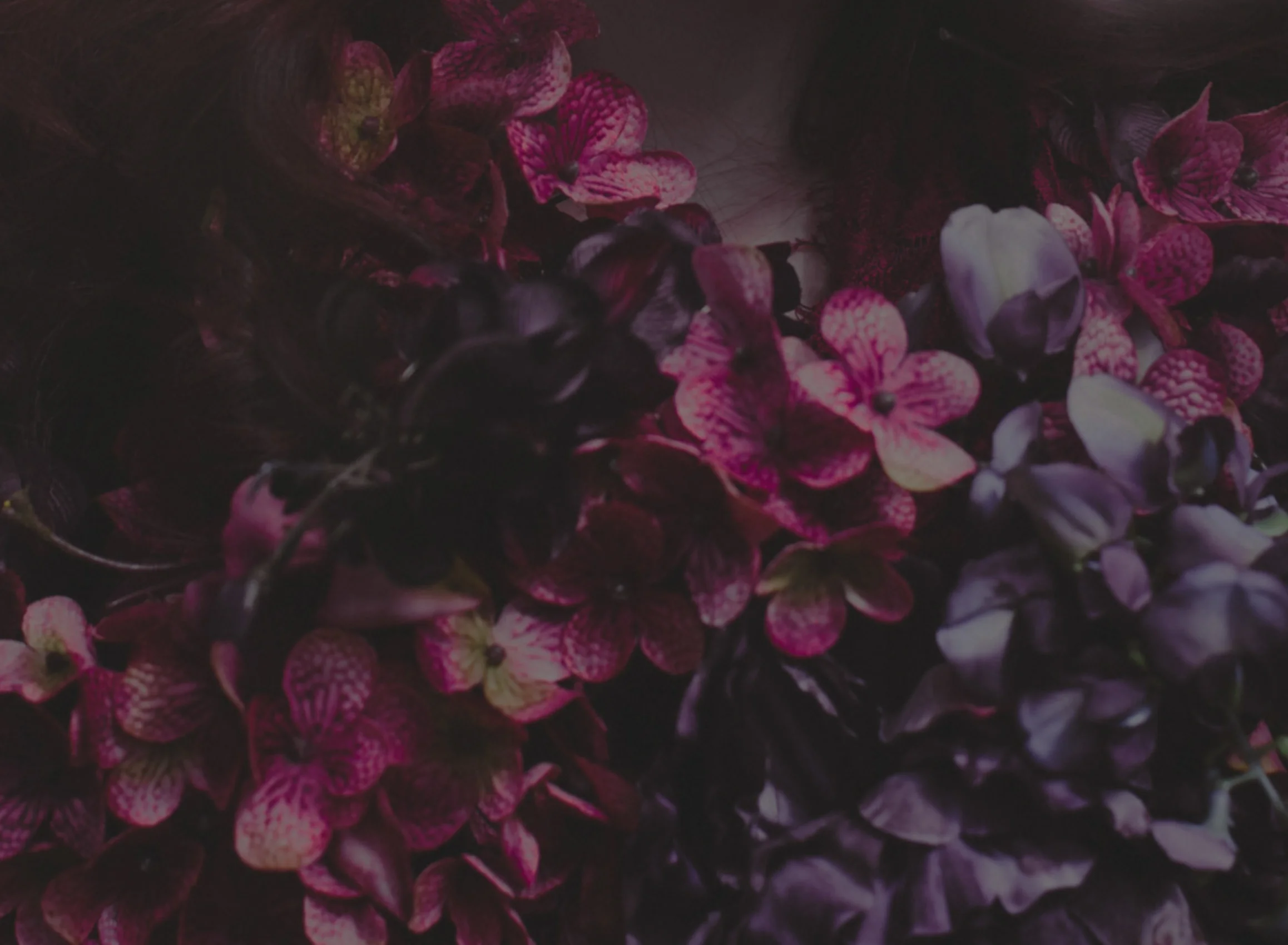 Background_Flowers.jpg