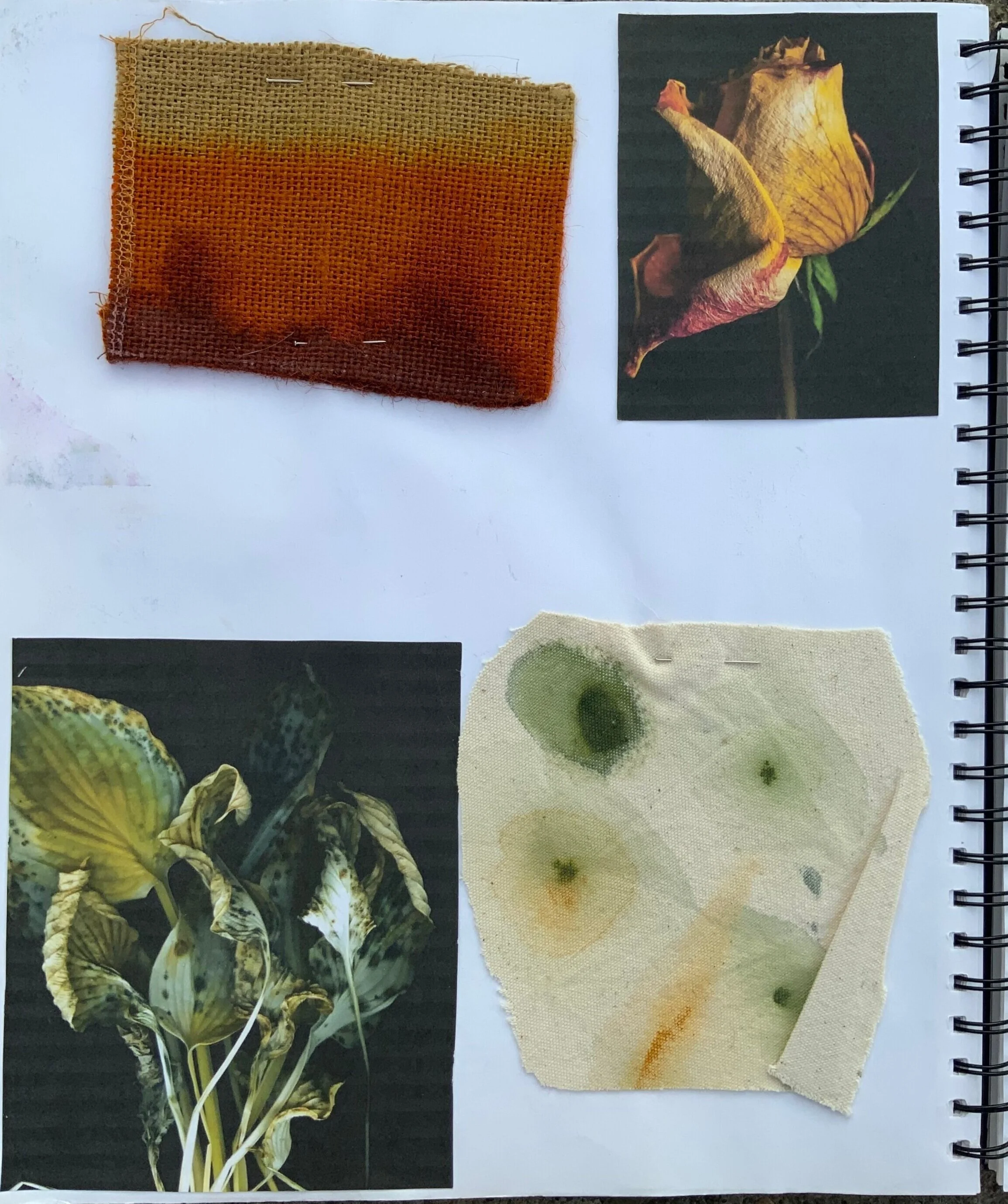 Hand painted swatches inspired by the dead plants.