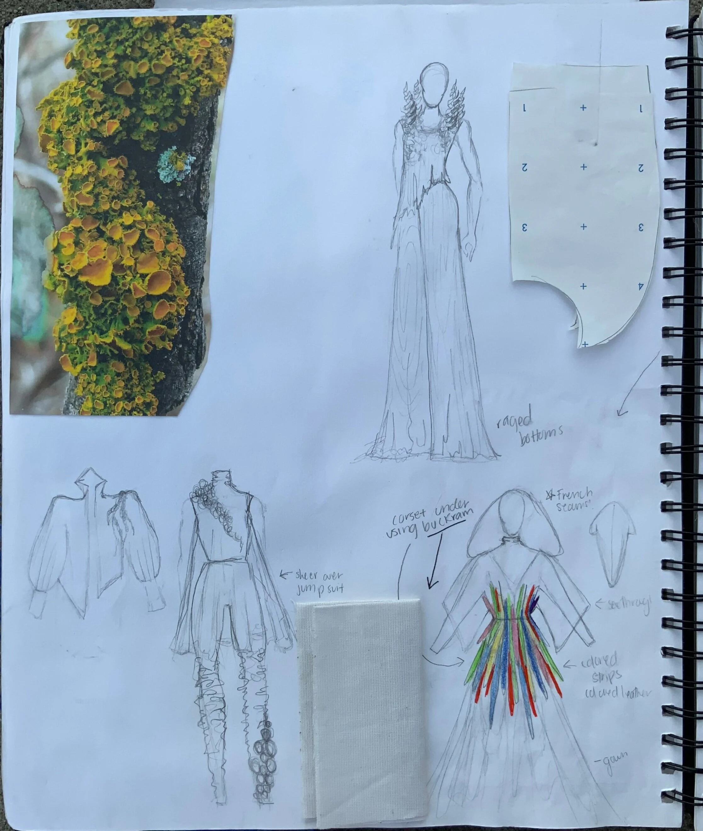 The colored corset belt I drew was inspired by the pealing bark of the rainbow eucalyptus trees in the Phillipines. Its bark is many different vibrant colors.