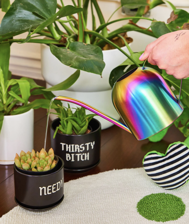 Screen Shot 2022-02-04 at 12.40.59 PM.png