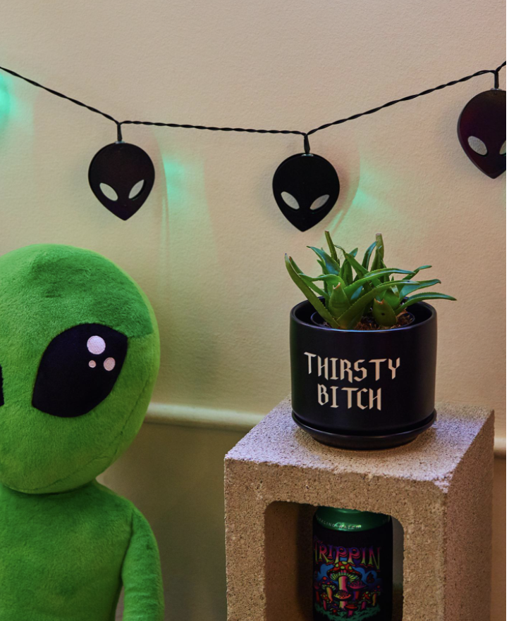 Screen Shot 2022-02-04 at 12.40.20 PM.png