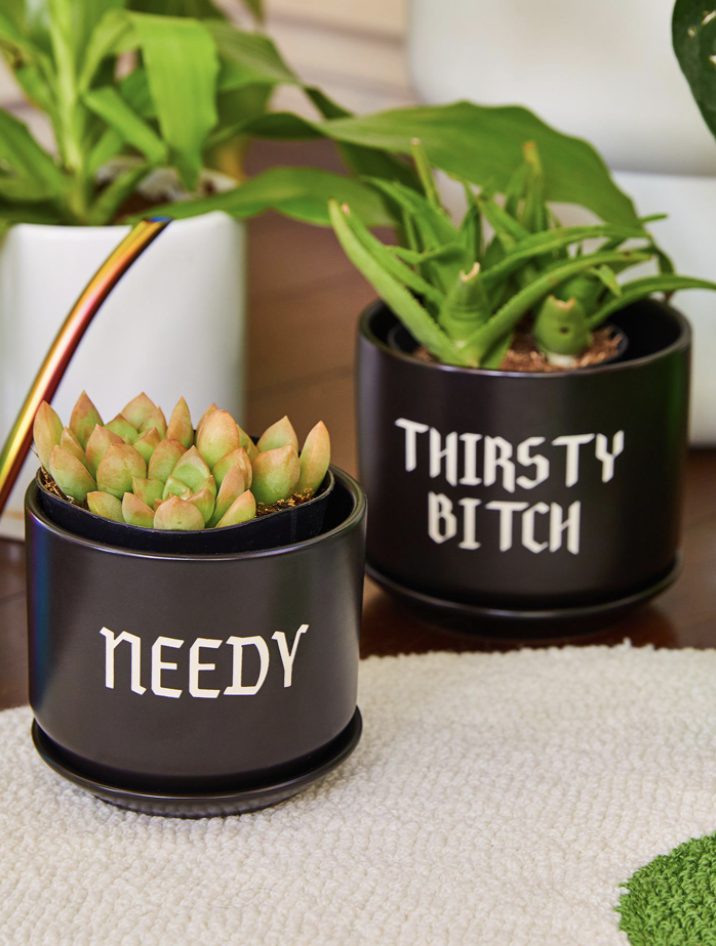 Screen Shot 2022-02-04 at 12.28.26 PM.png