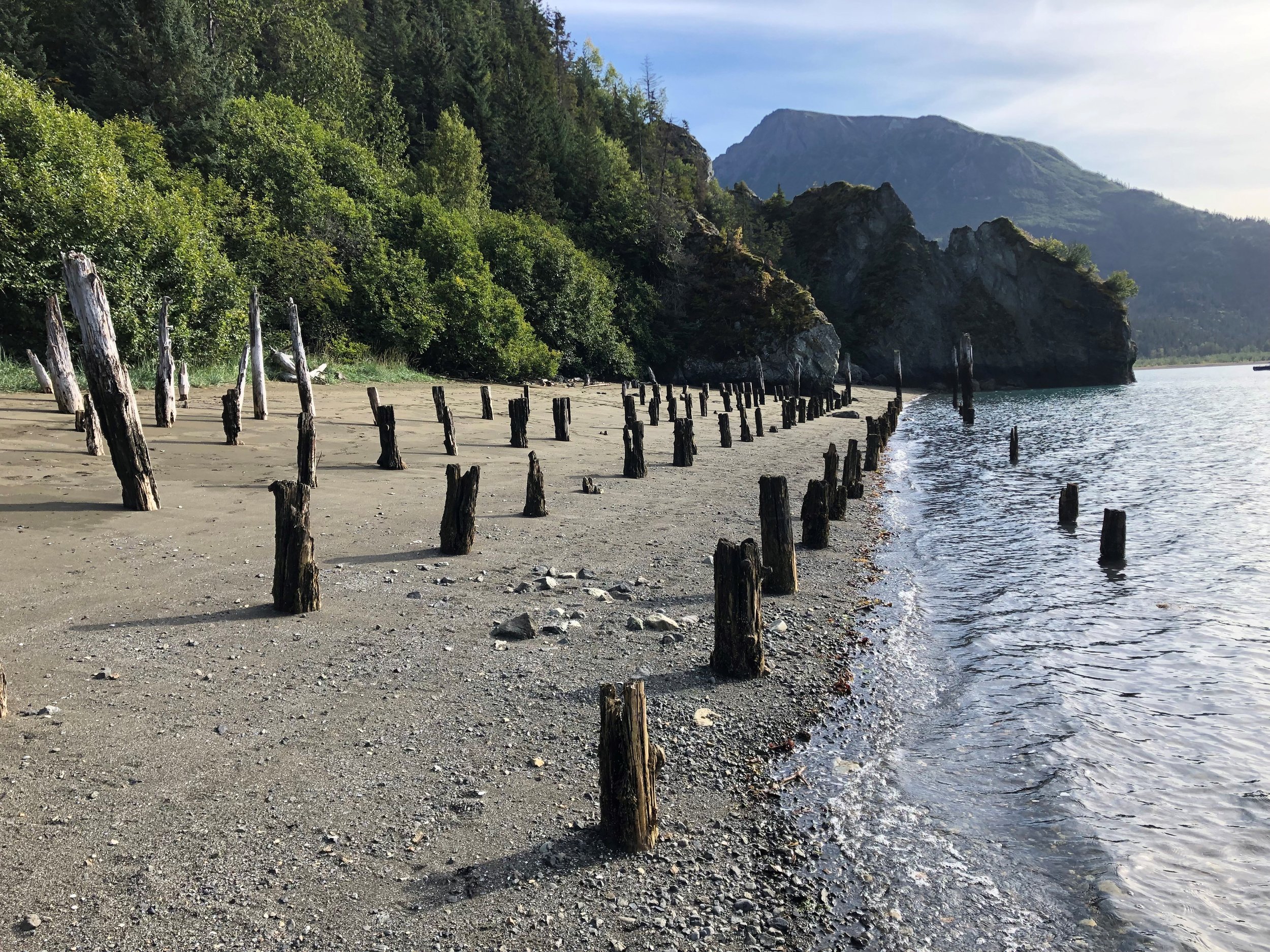 Saddle Trail Property - Pilings 2 Photo.jpg