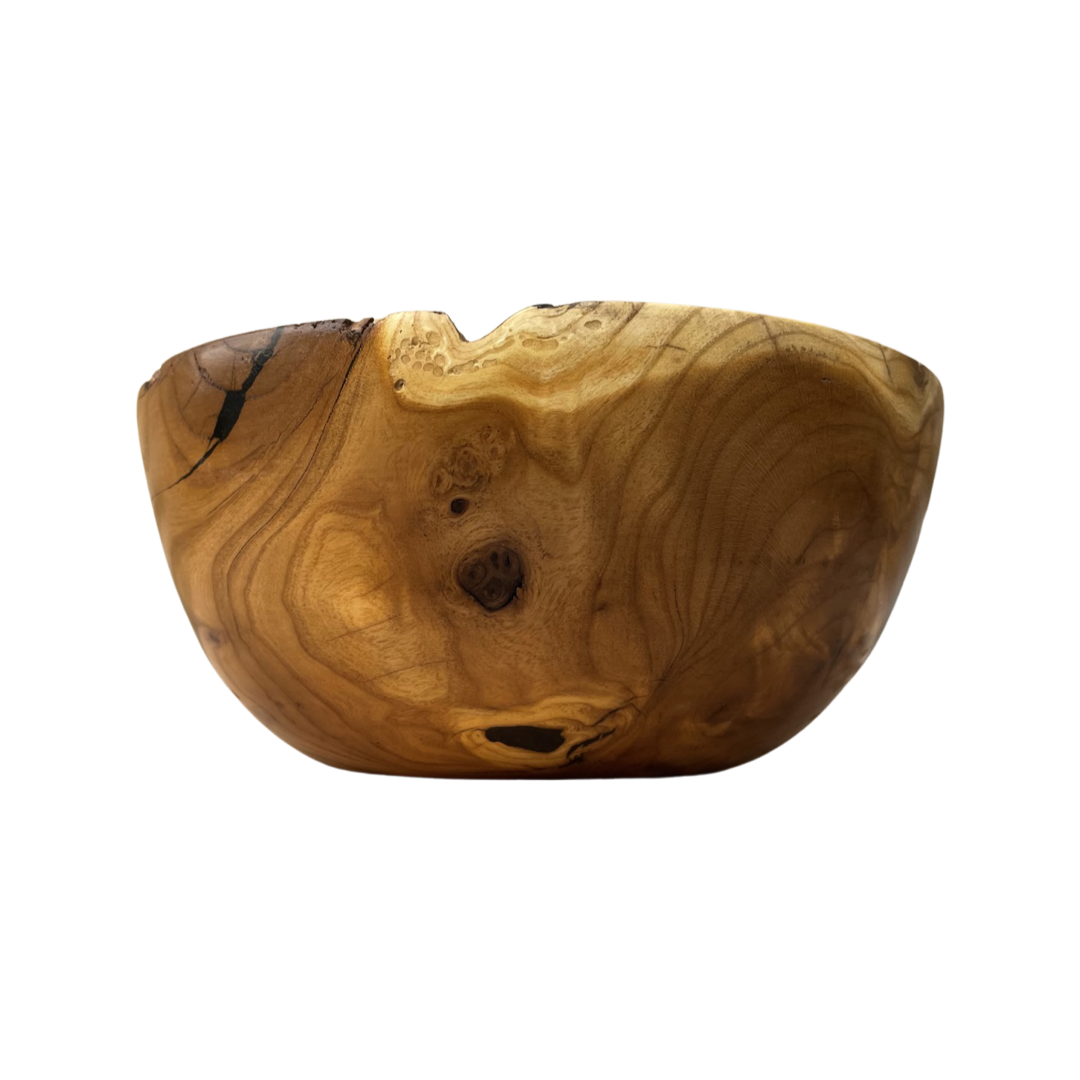 E85F1E6F-78C5-4F1D-9507-56F4DCC64D9A