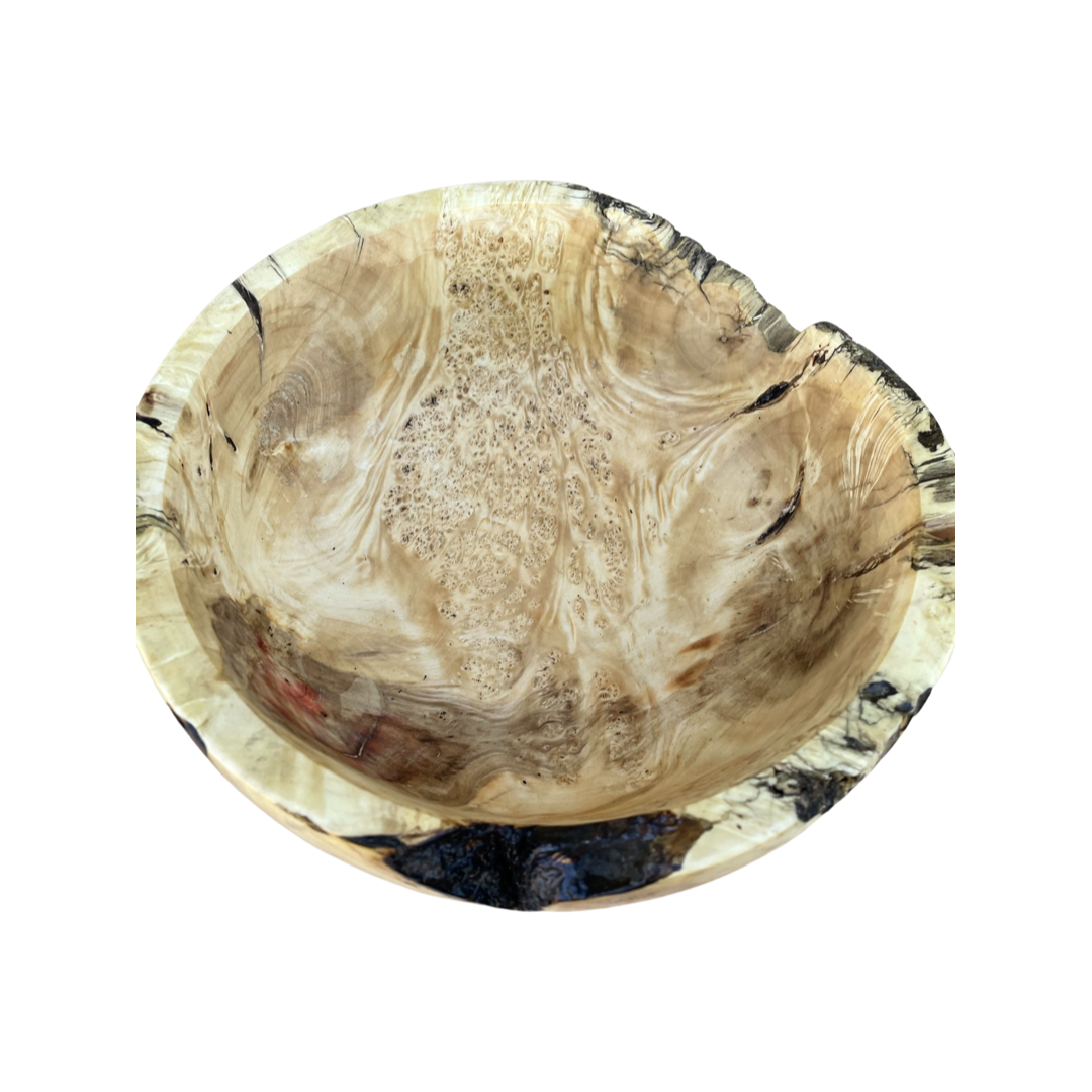 83FB82F1-56FD-4D87-8DAF-1405E80BCDD1