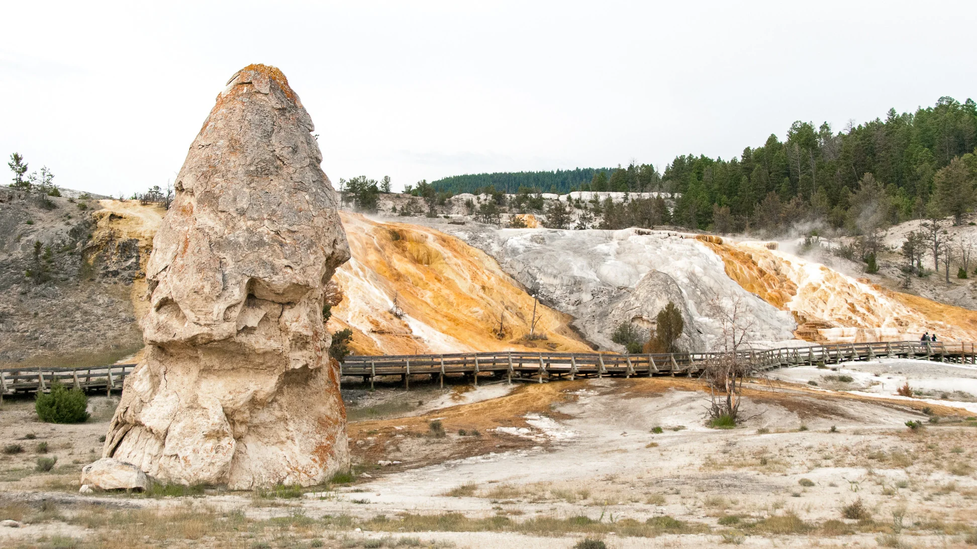 Mammoth Hot Springs - Liberty Cap & Palette Springs