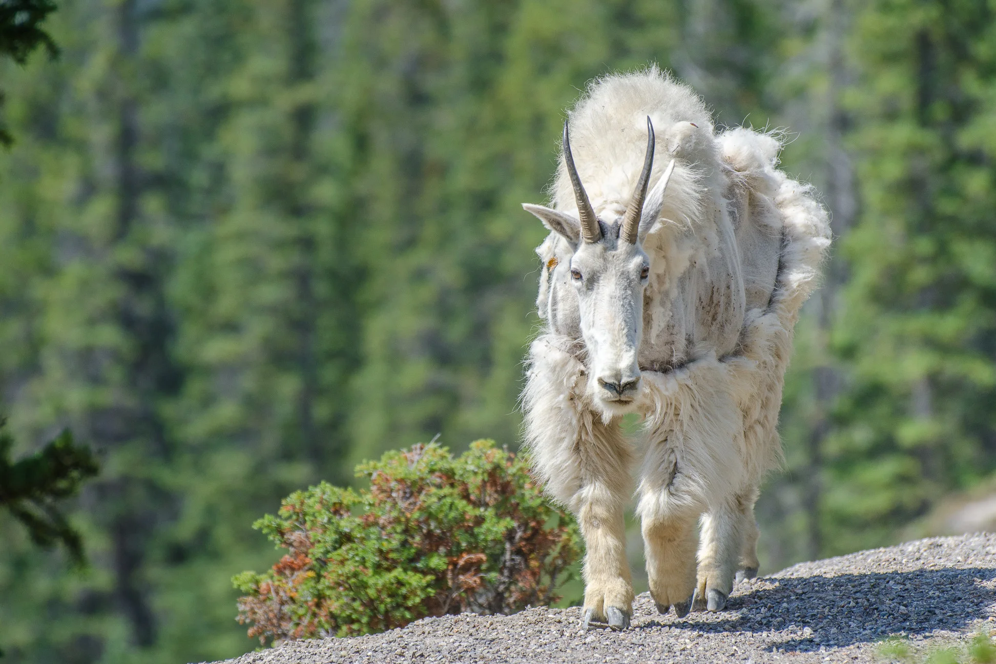 001 - 20140730-_DSC9238.jpg