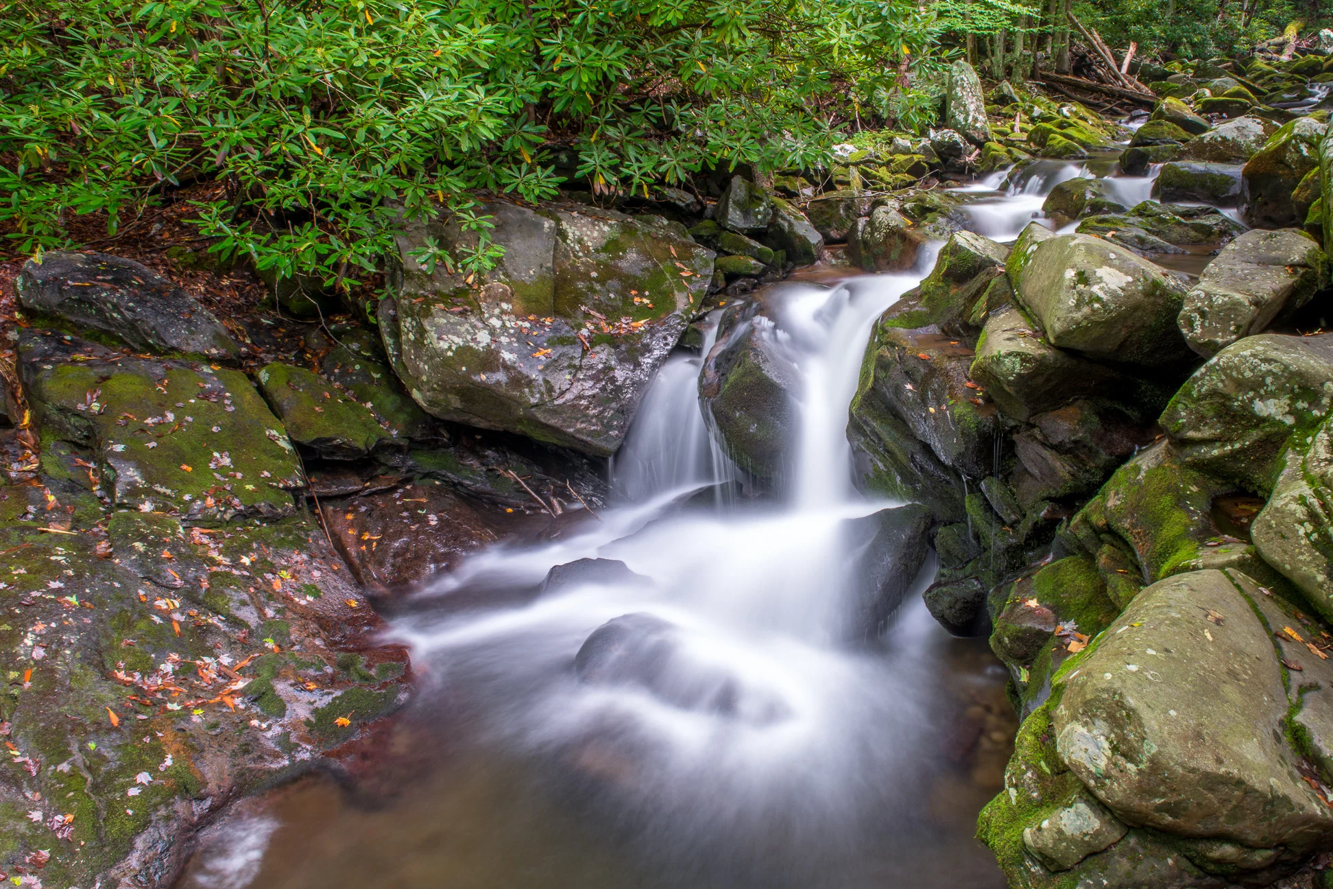 Tremont Area - Falls on Lynn Camp Prong
