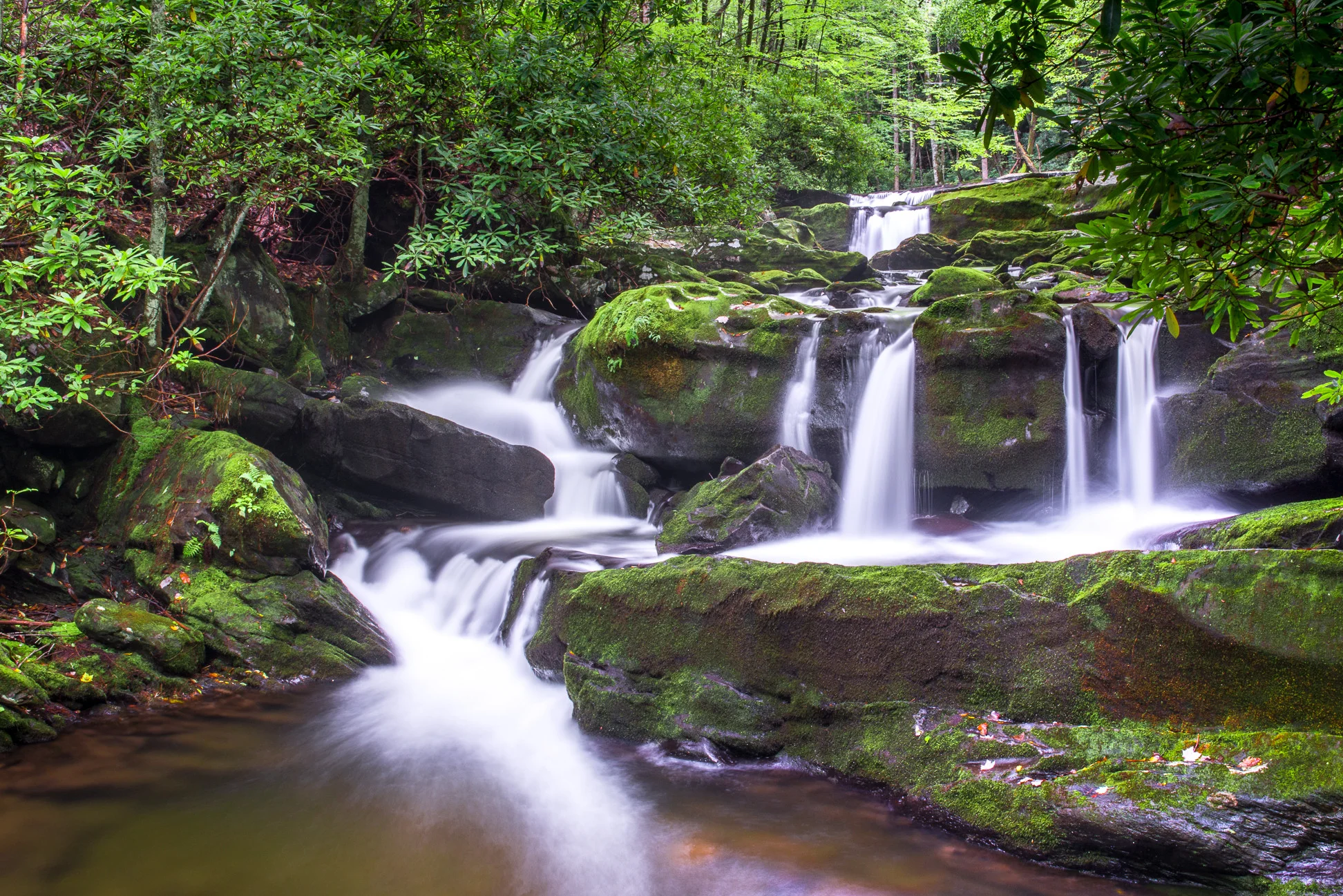 Tremont Areas - Falls on Lynn Camp Prong