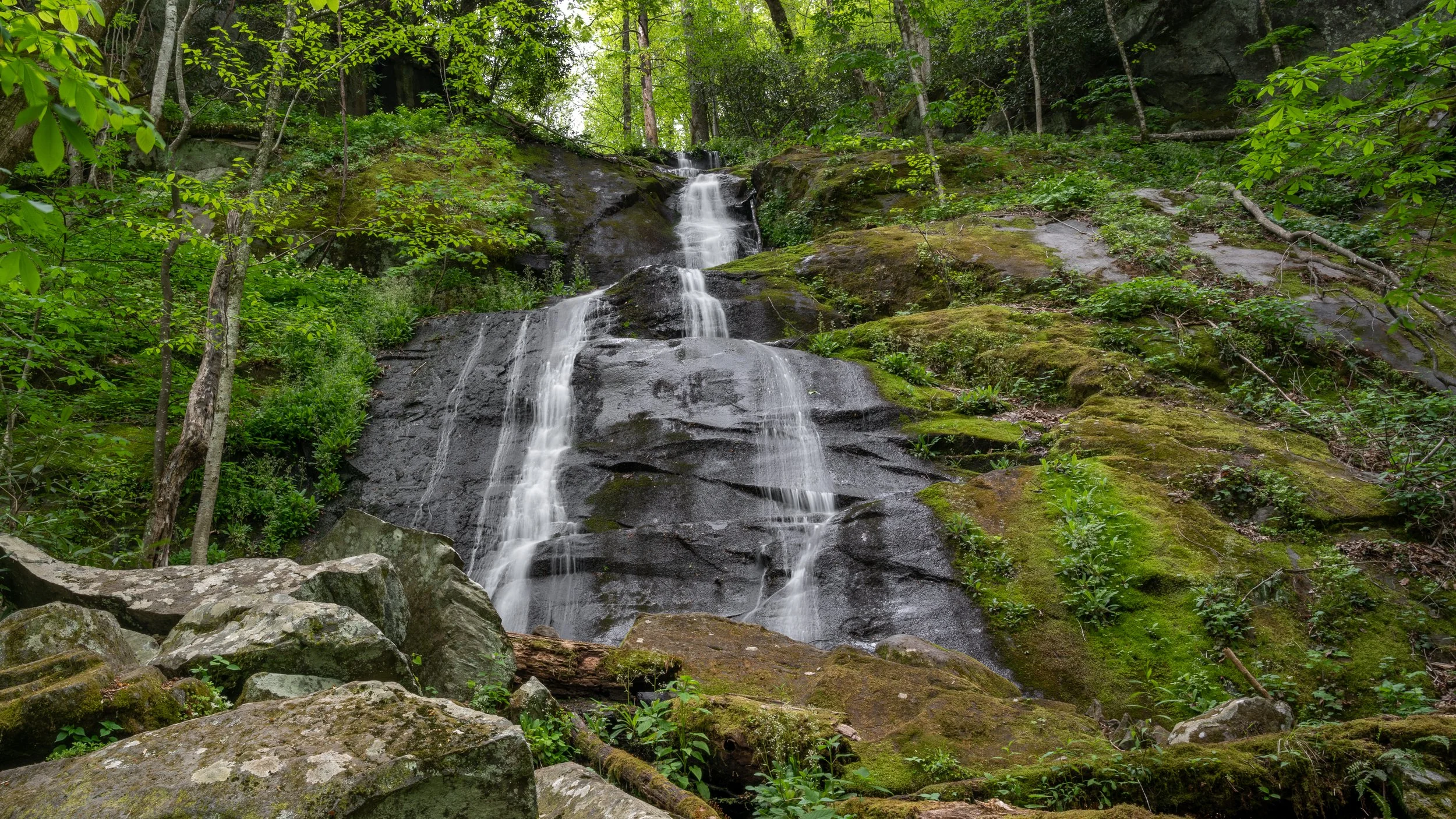 Fern Branch Falls on Porters Creek Trail in Greenbrier Area