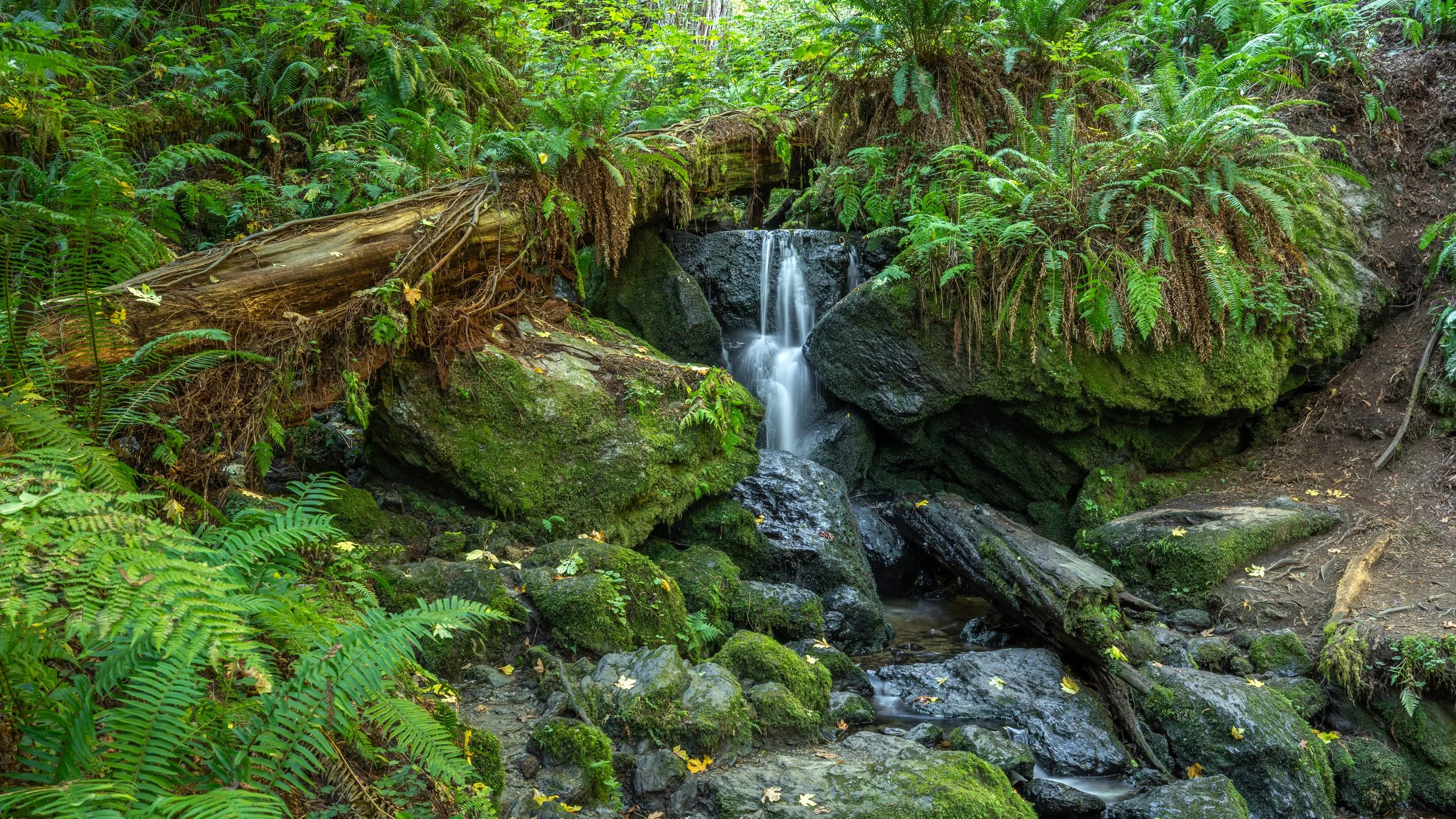 Trillium Falls