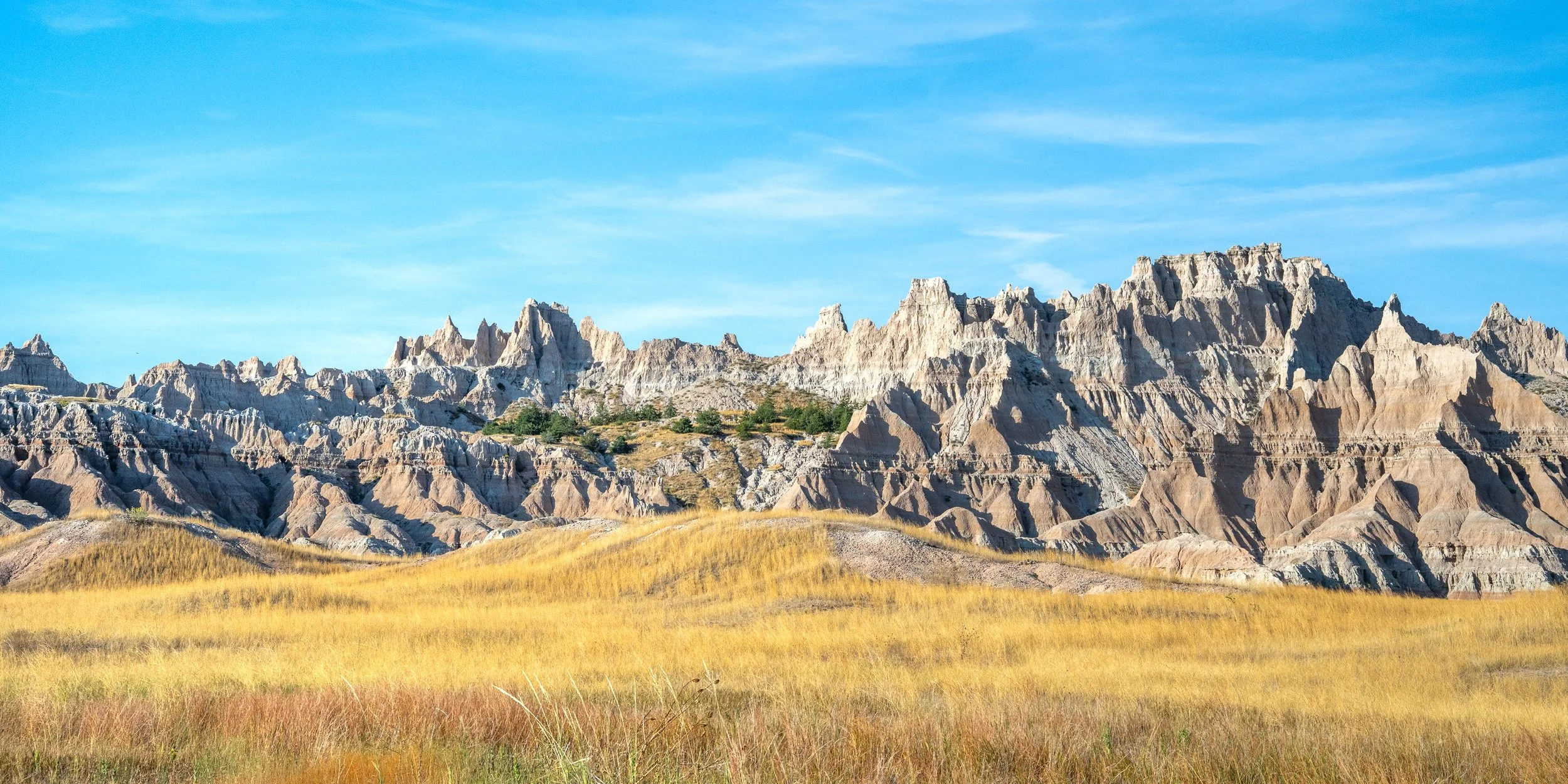 Saddle Pass to Cedar Pass Area