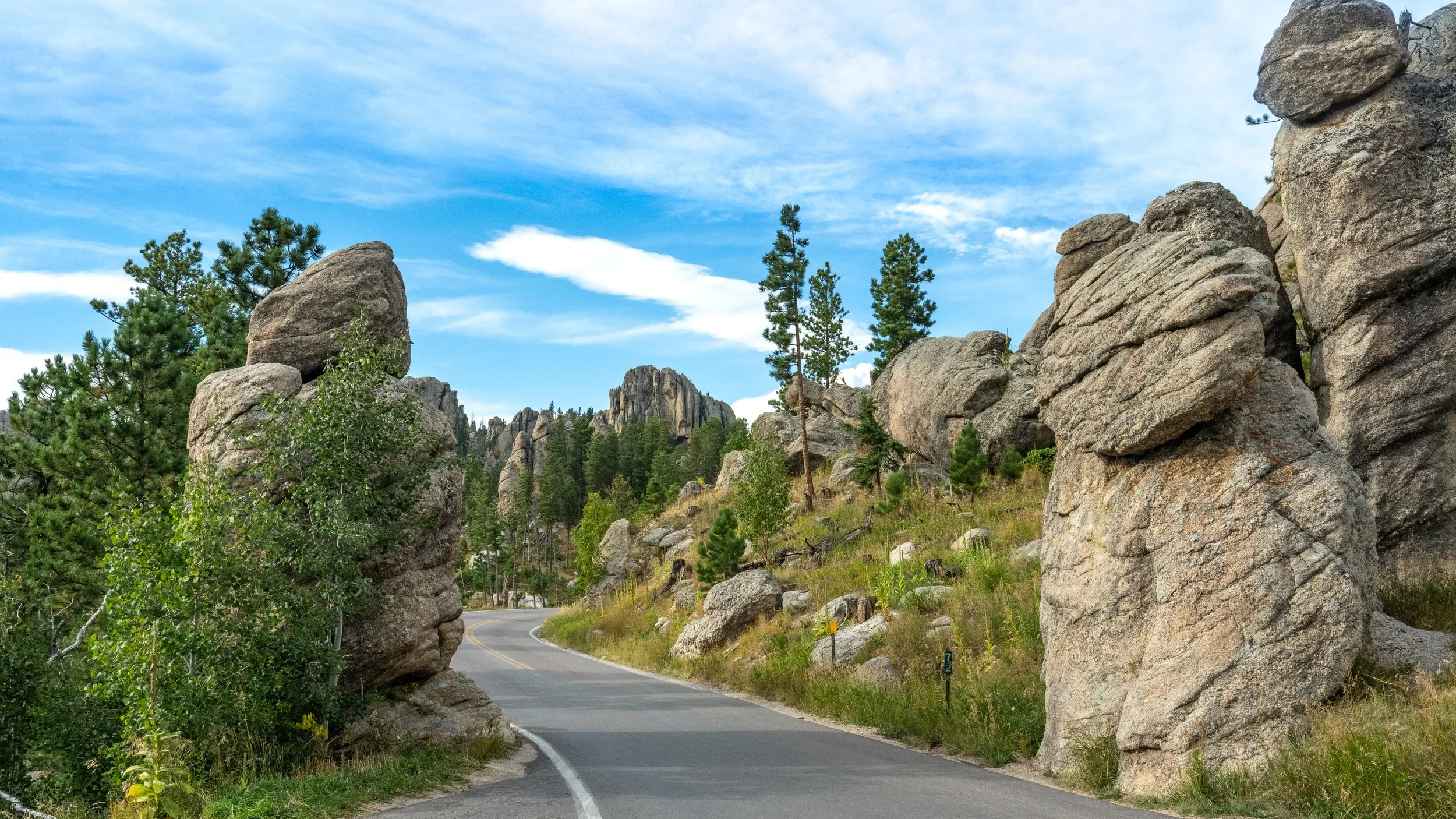 Needles Highway 