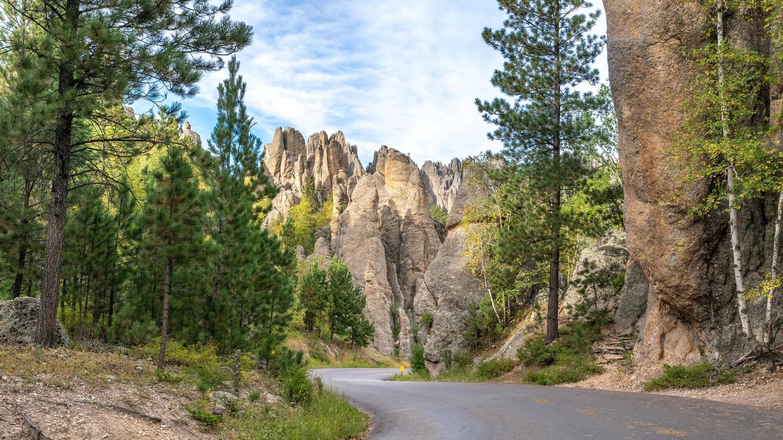 Needles Highway