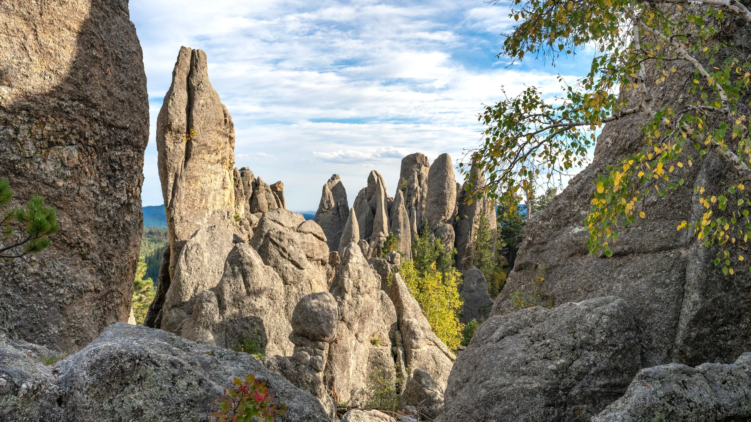 View along Needles Highway