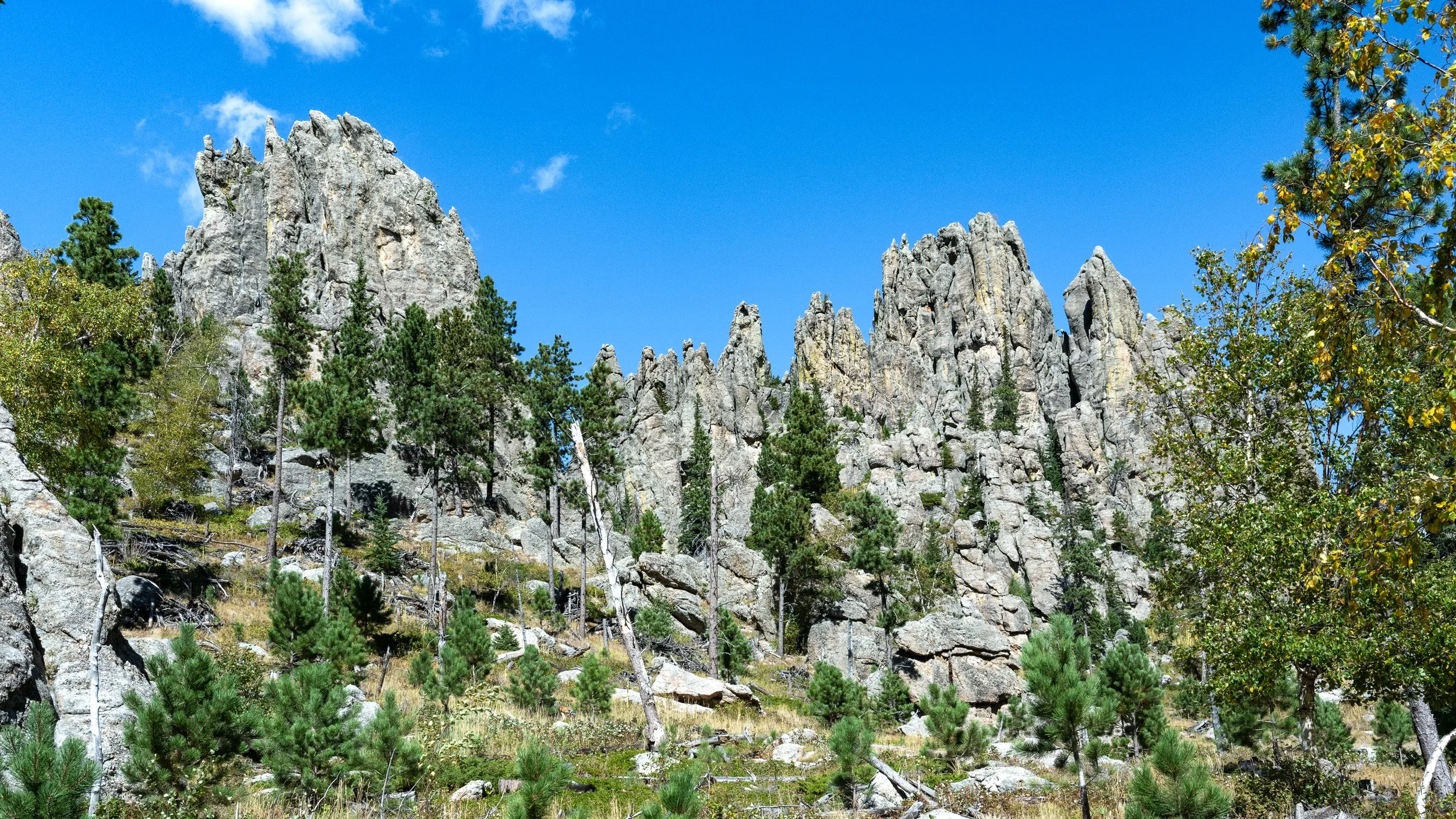 The Pinnacles Trail