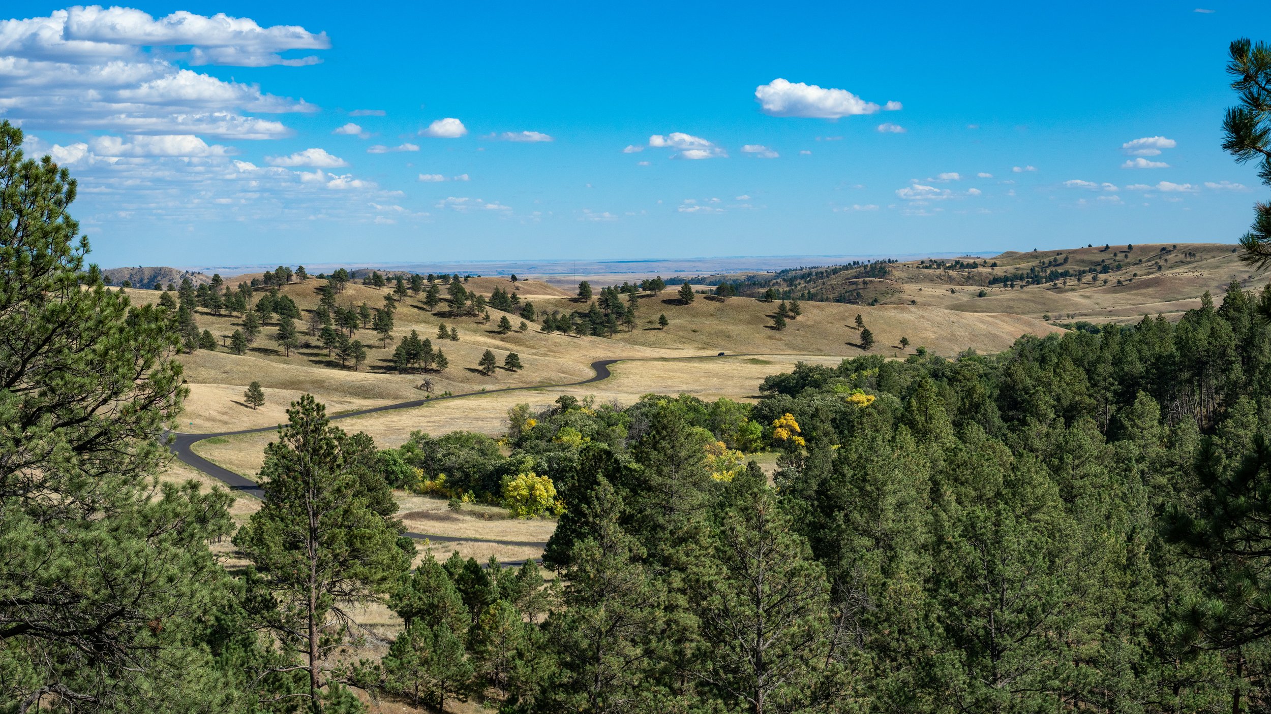 Wildlife Loop Road