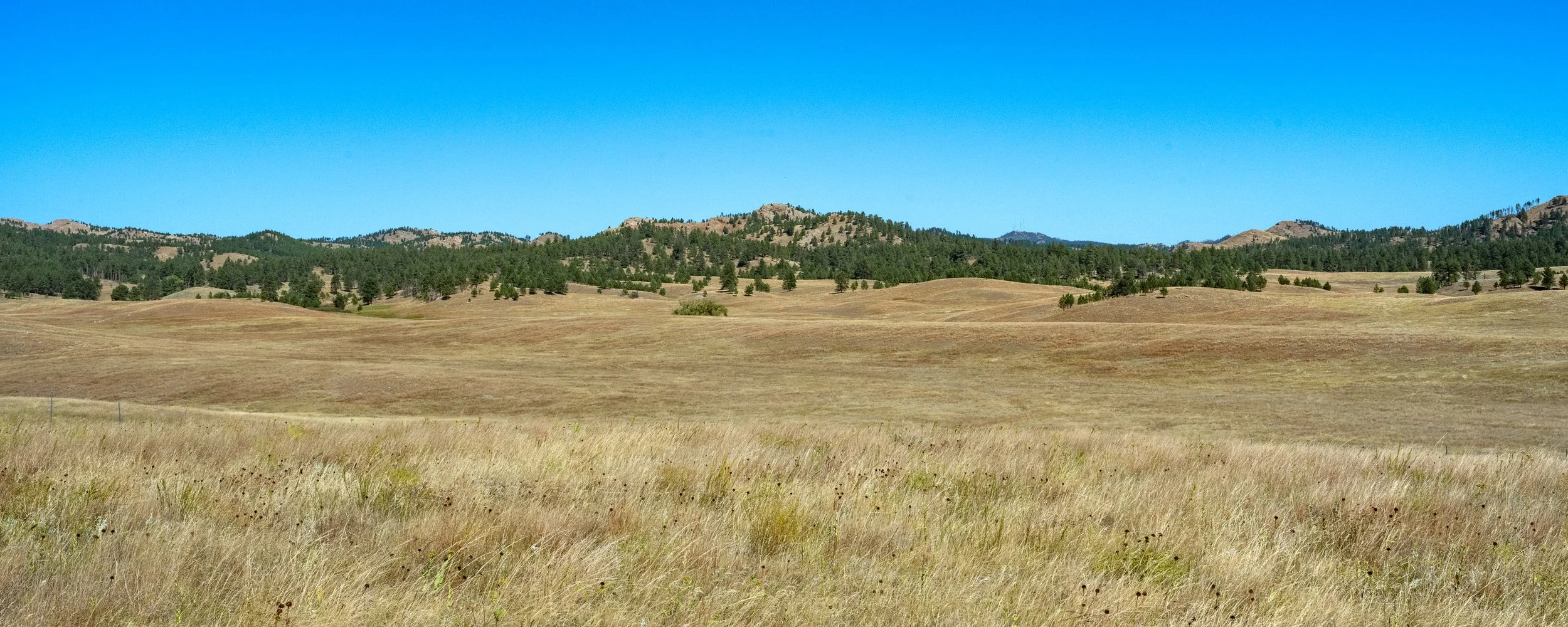 Grasslands