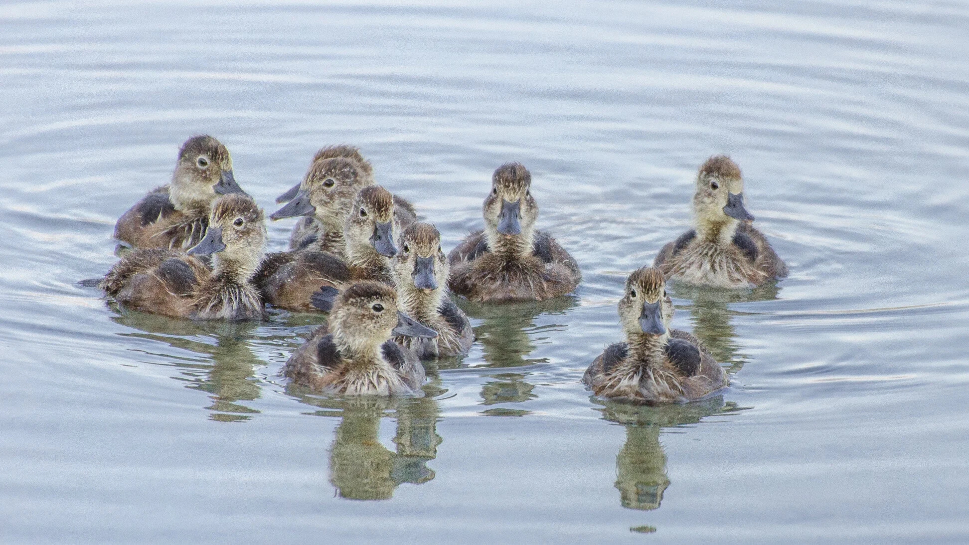 001 - 20140801-_DSC9934.jpg