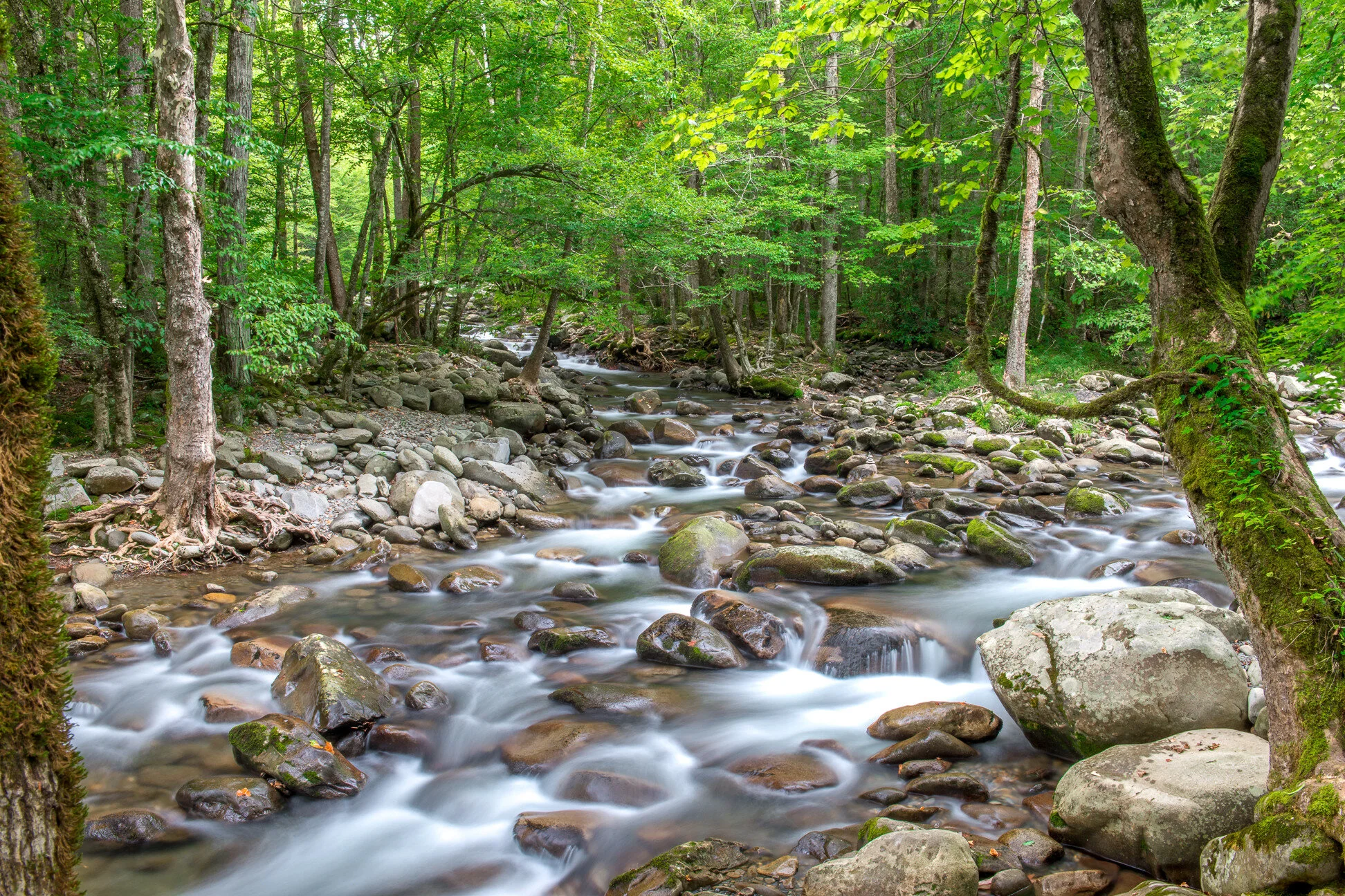 001 - 20140904-_dsc5555.jpg