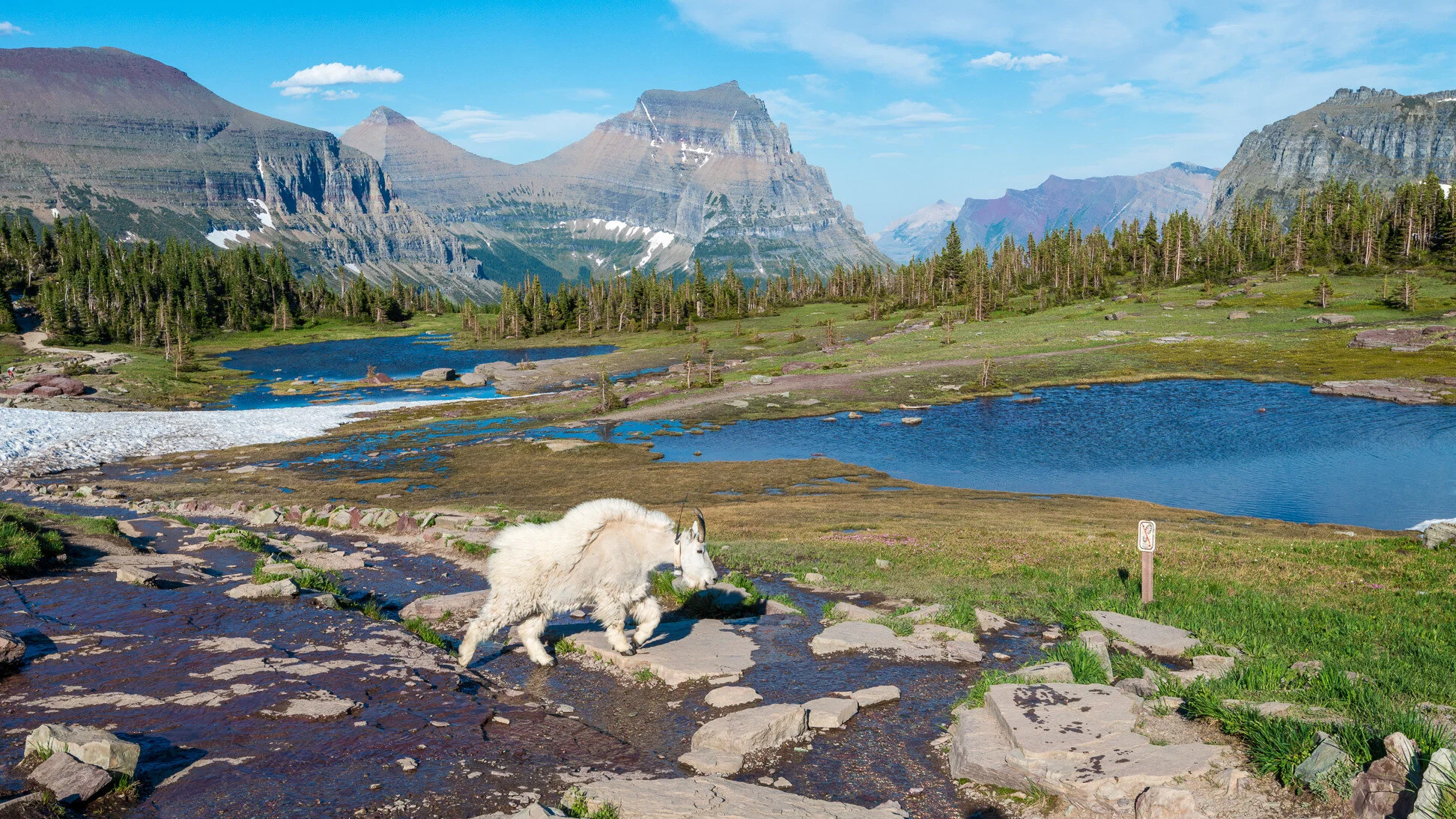 001 - 20170708-_dsc3872.jpg