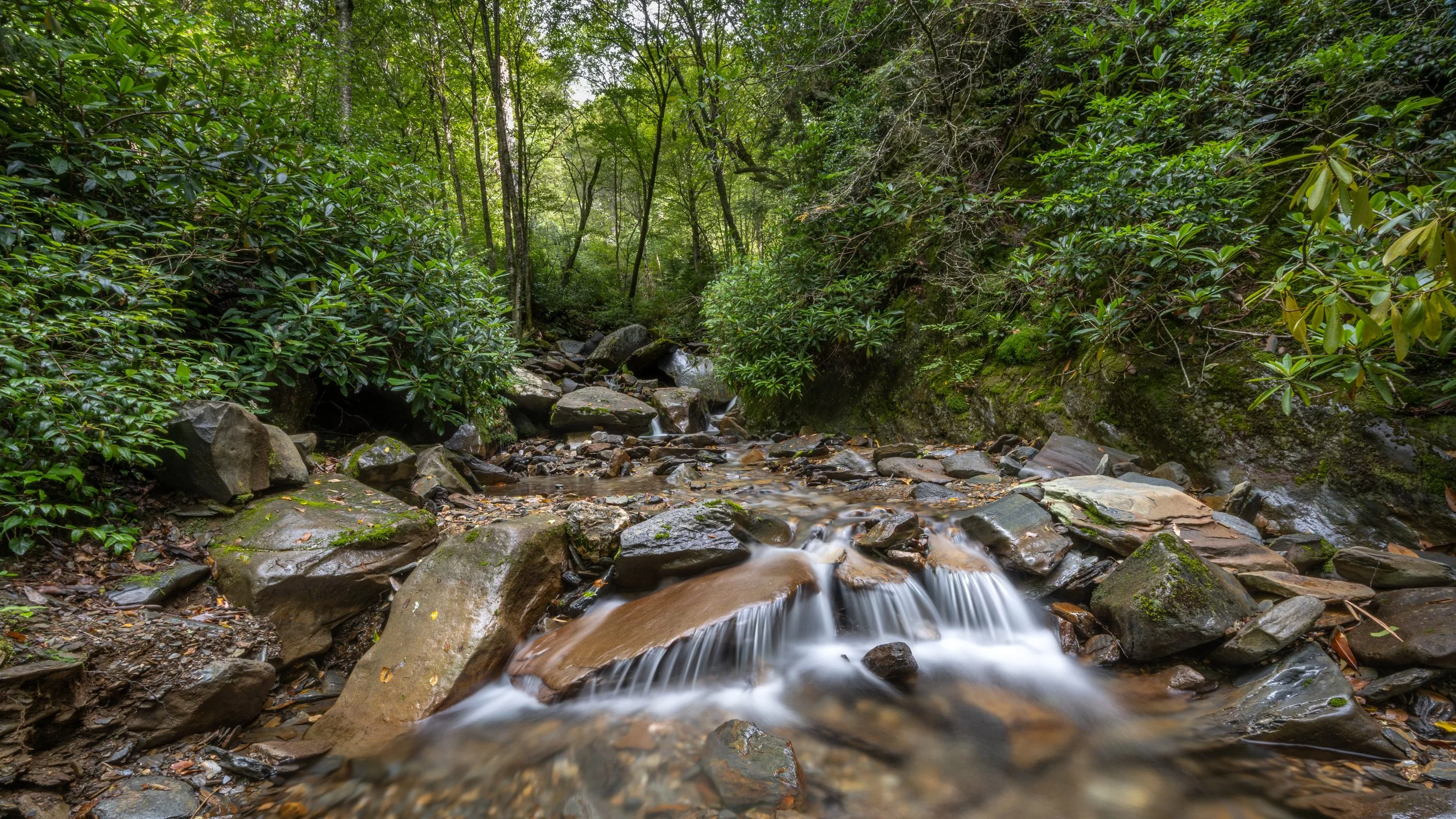 001 - 20200915-_JDW7767.jpg