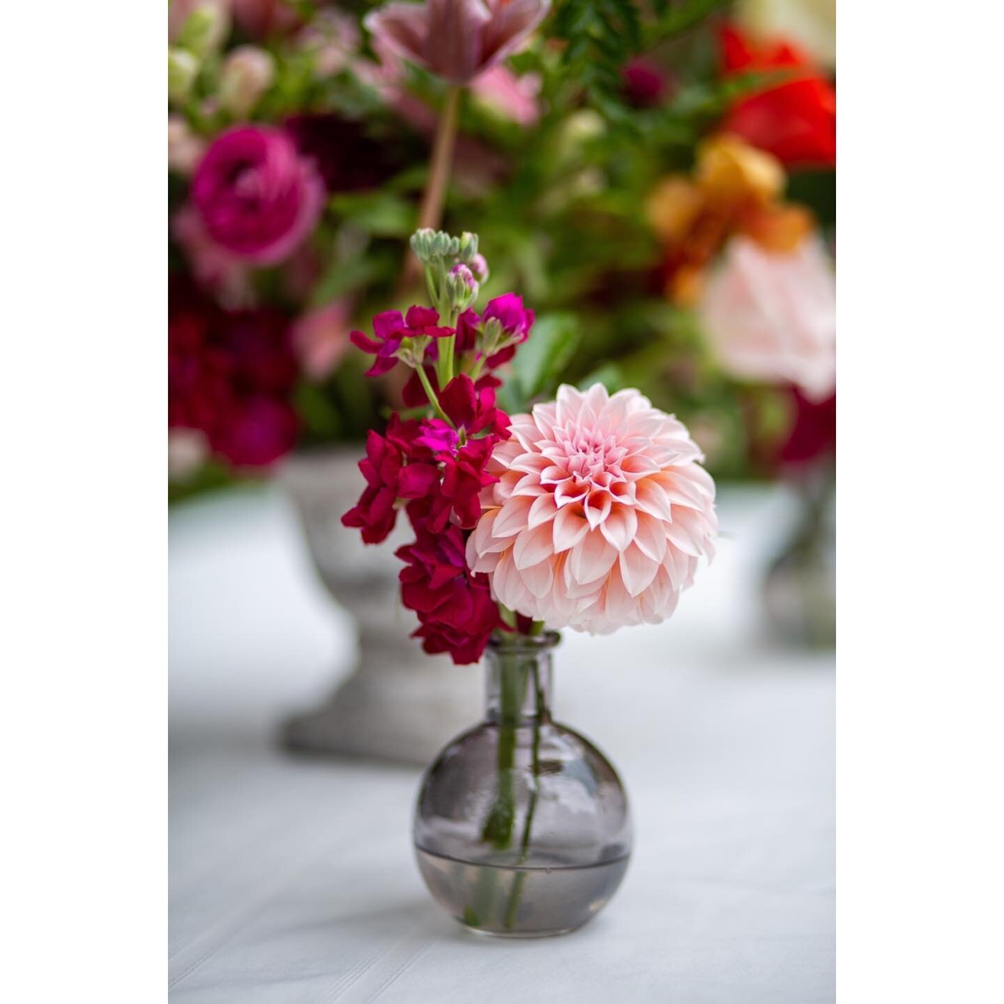 Life is so busy, y&rsquo;all. I need to plan a proper update for you! But there is photography happening in it&hellip; like these incredible flowers at a ceremony last week. I&rsquo;ll be back someday! Just popping in to brighten your feed 🌷🌺🥀🌹😍