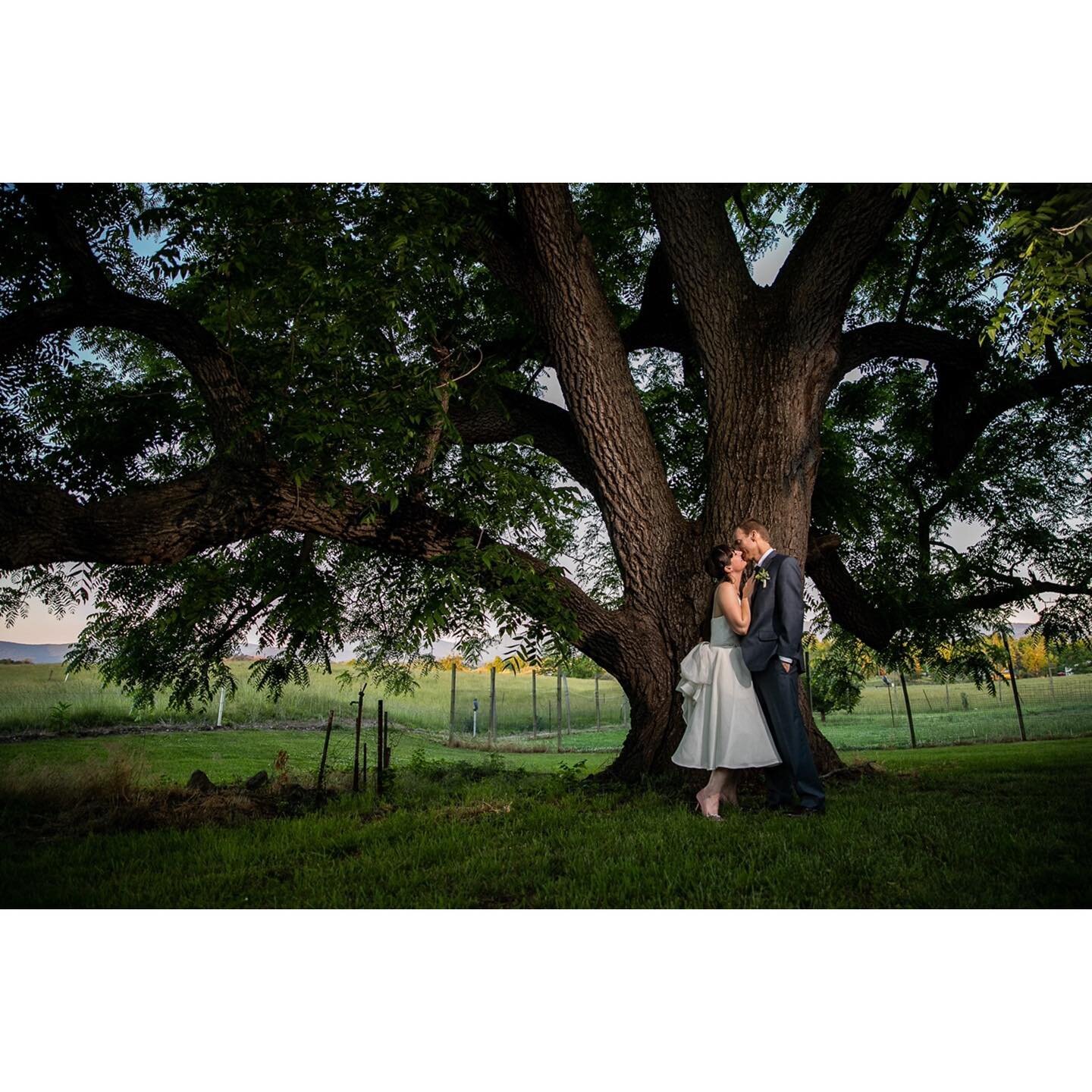 Aaaaand zoomed in a little closer 🌳 So much more to come guys! 
.
.
.
.
.
.
.
.
#ayeshaahmadphotography #virginiaweddingphotographer #vaweddingphotographer #charlottesvilleweddingphotographer #cvilleweddingphotographer #dmvweddingphotographer #weddi